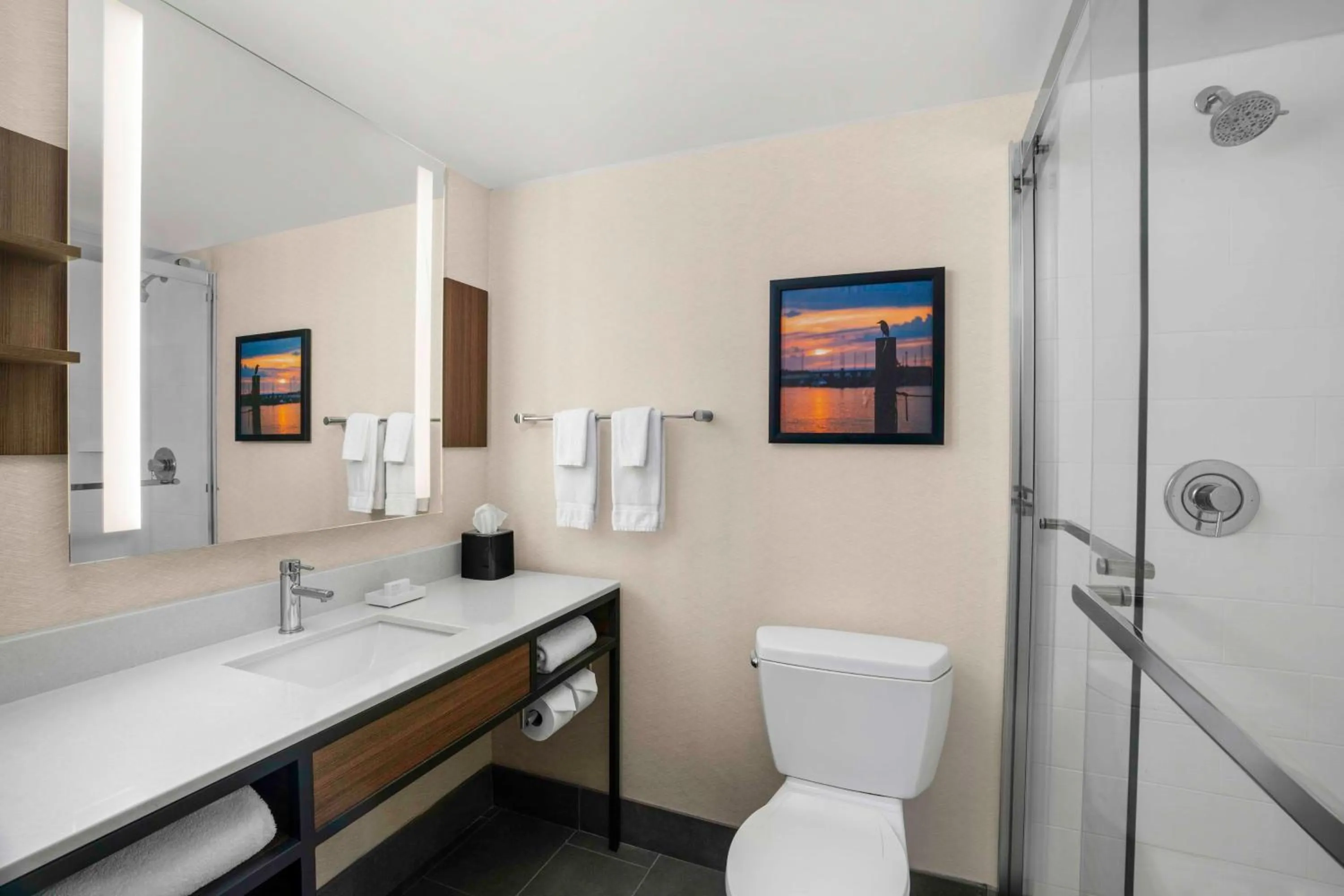 Bathroom in Hilton Garden Inn Kent Island Marina