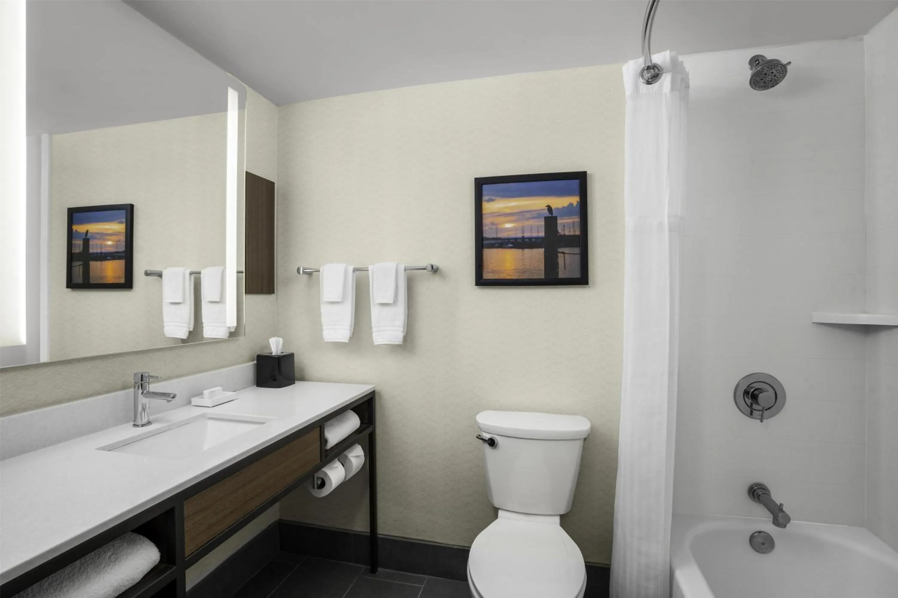 Bathroom in Hilton Garden Inn Kent Island Marina