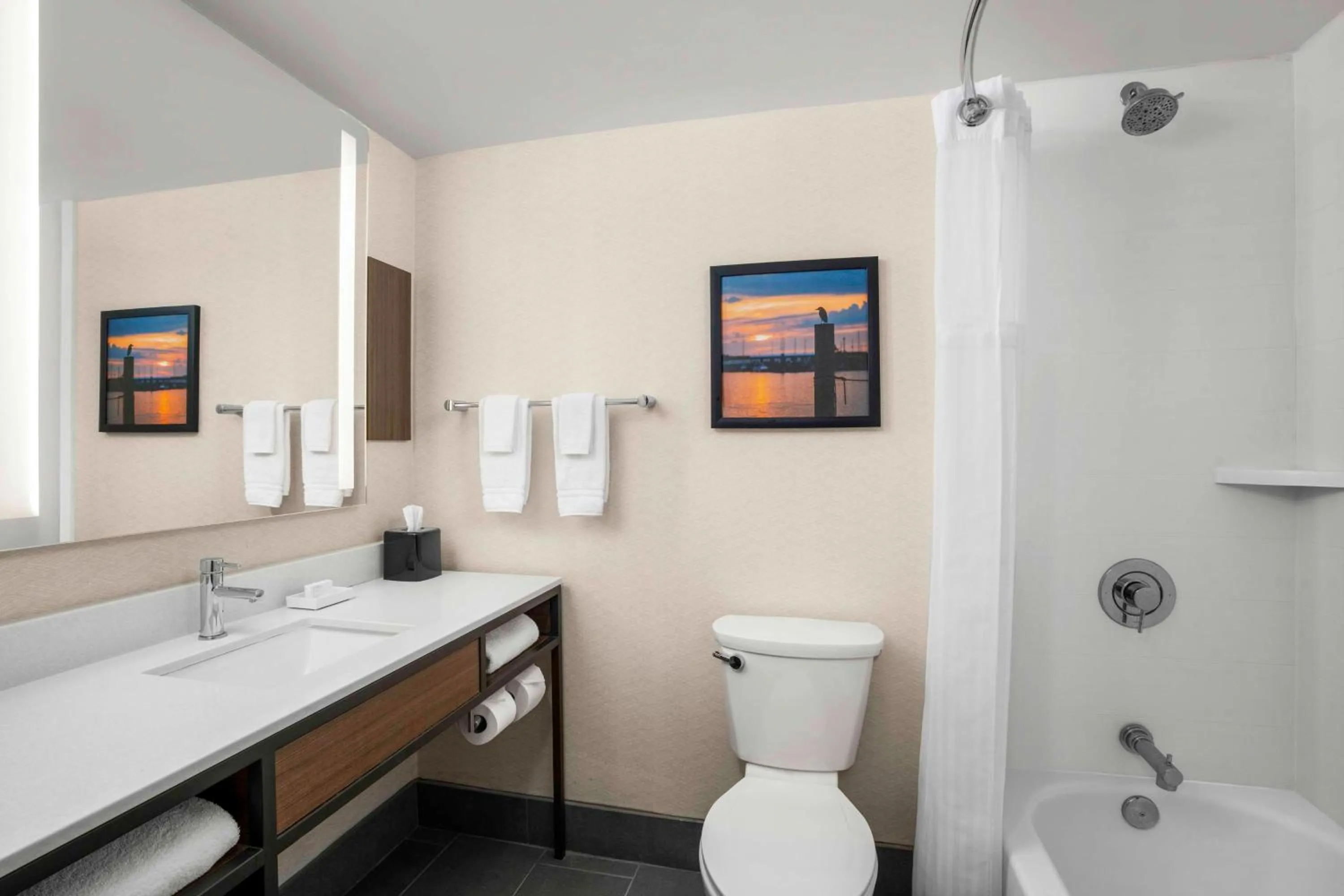 Bathroom in Hilton Garden Inn Kent Island Marina