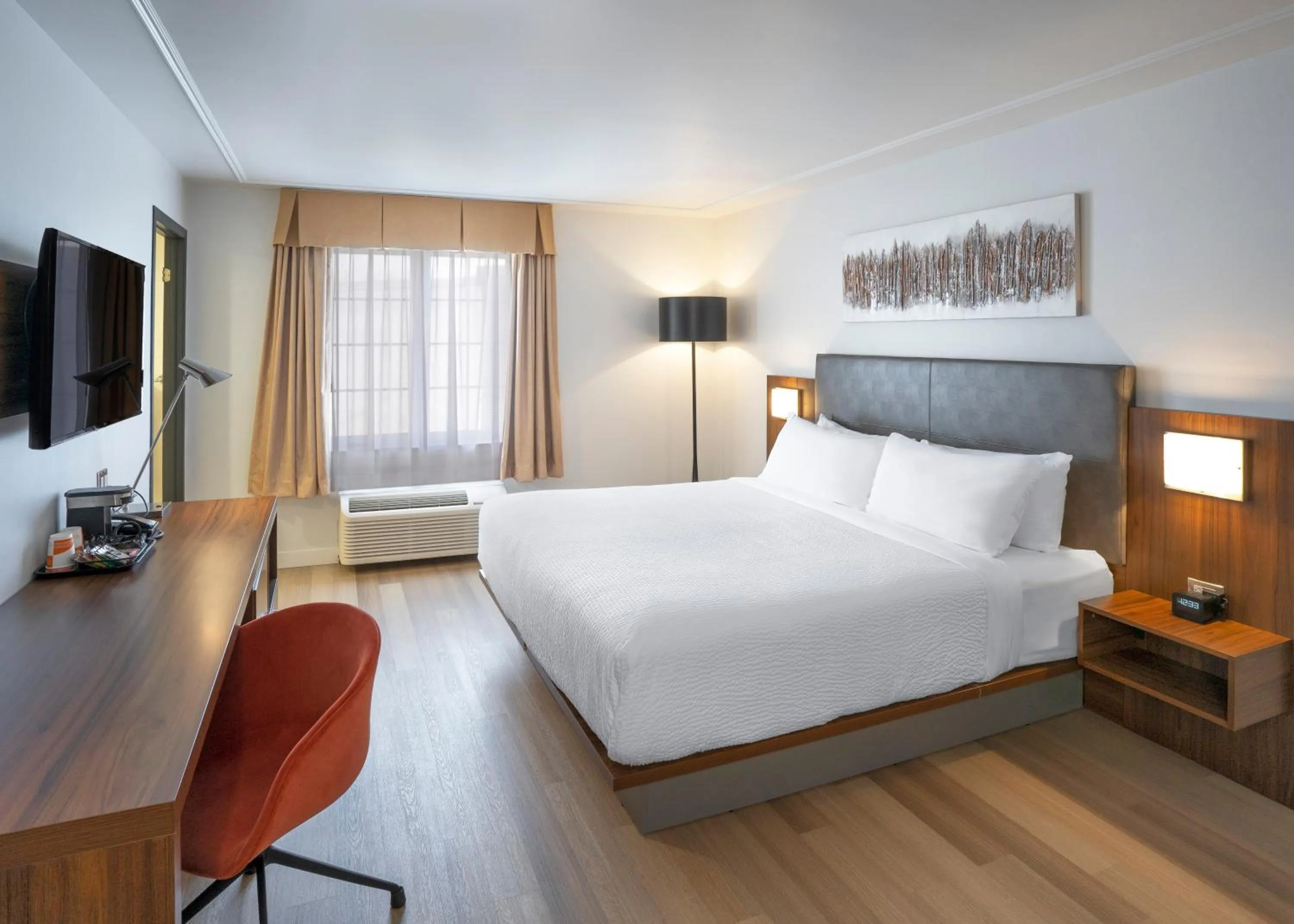 Hot Tub, Bed in Quality Inn