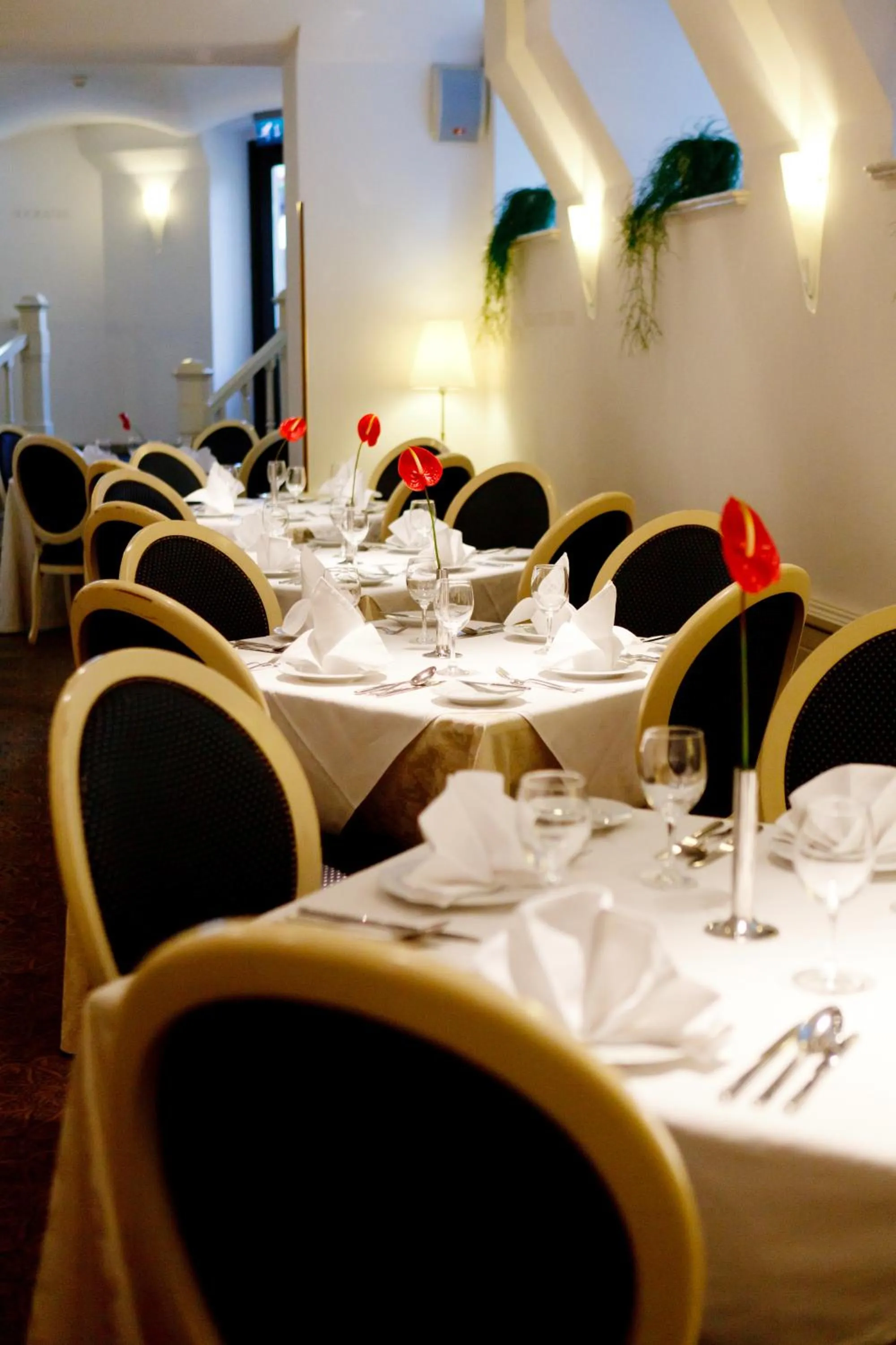 Restaurant/places to eat in Monika Centrum Hotels