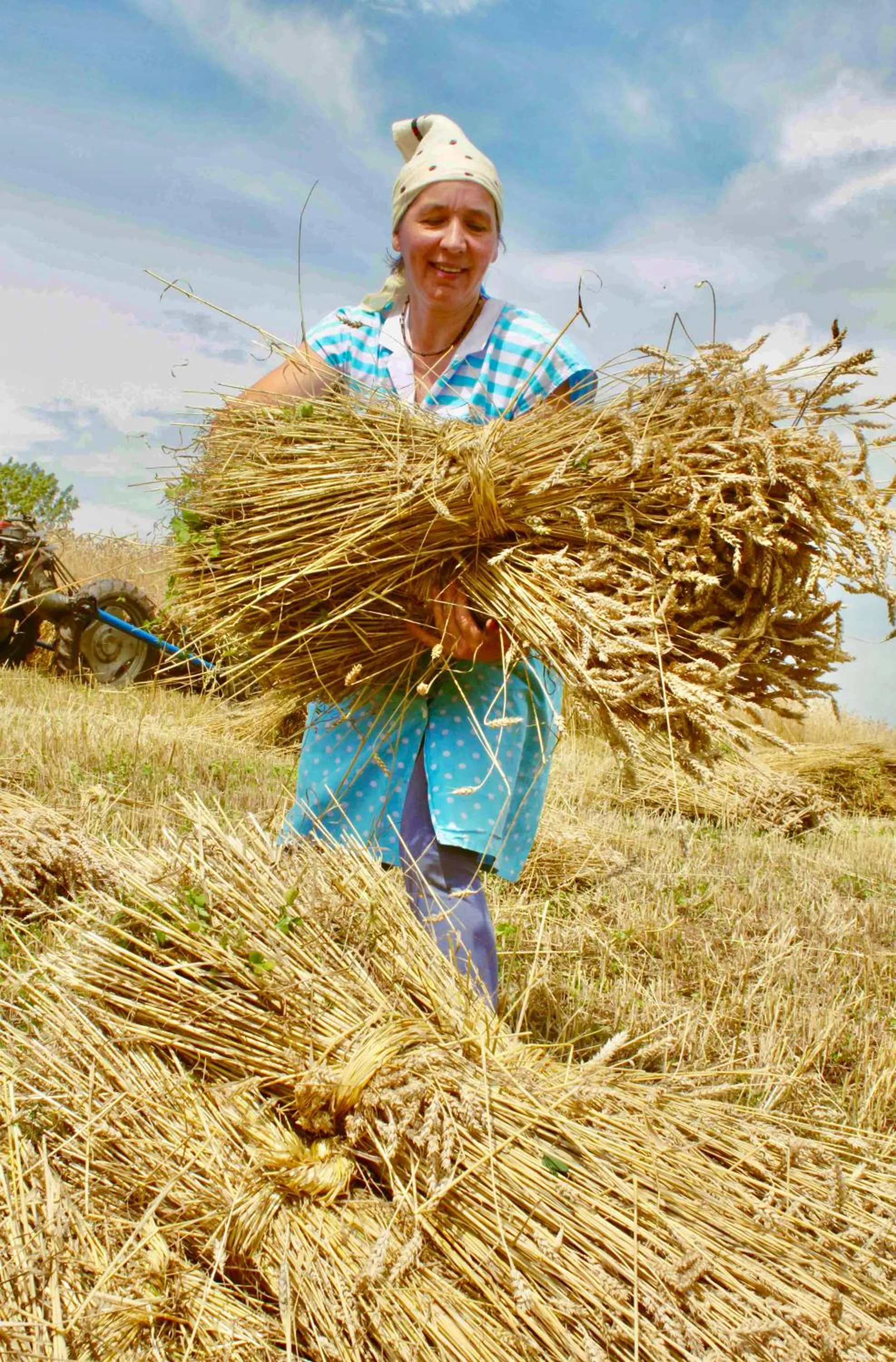 Food in Tourist Farm Strle With Great Local Food