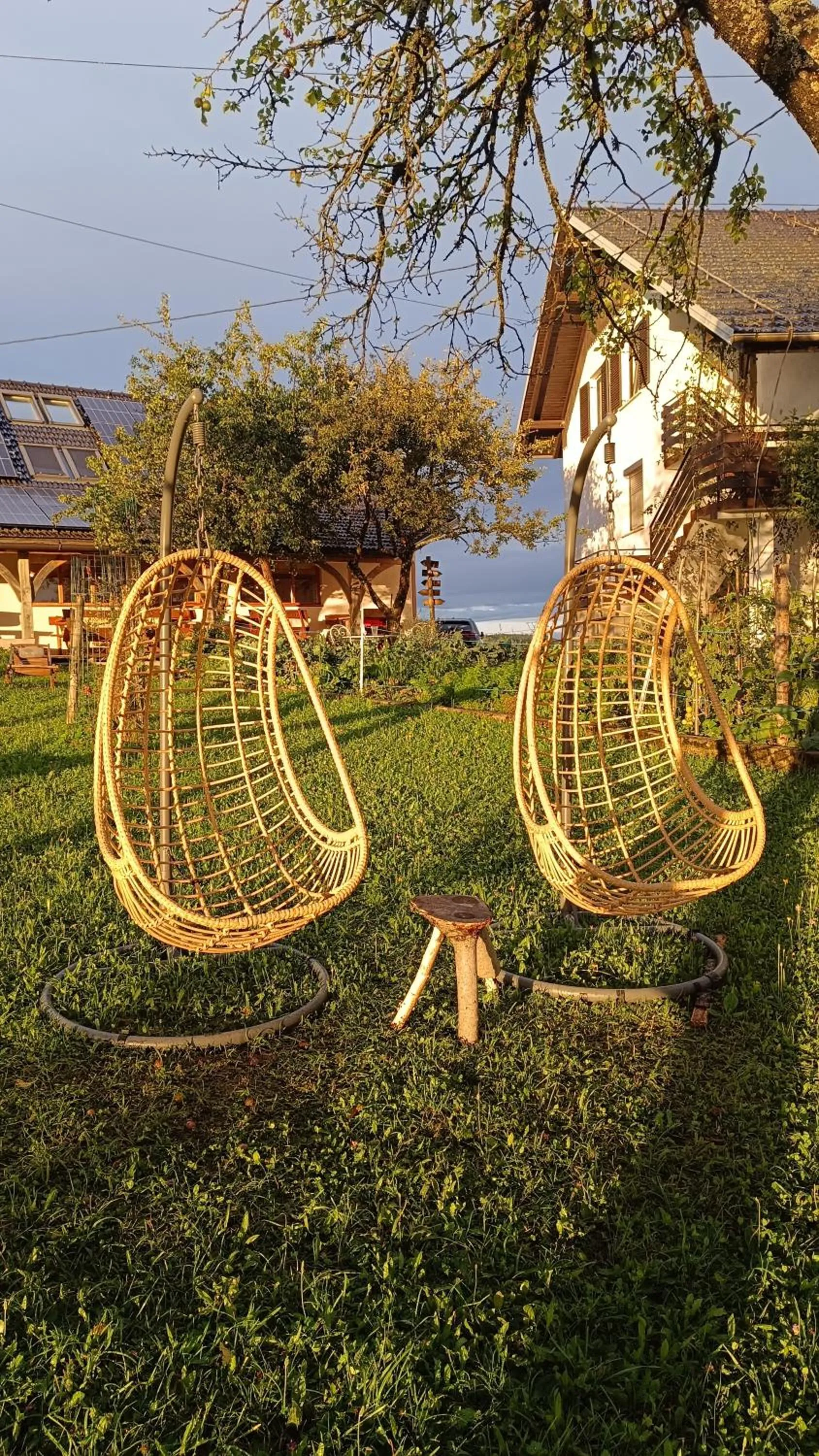 Day in Tourist Farm Strle With Great Local Food