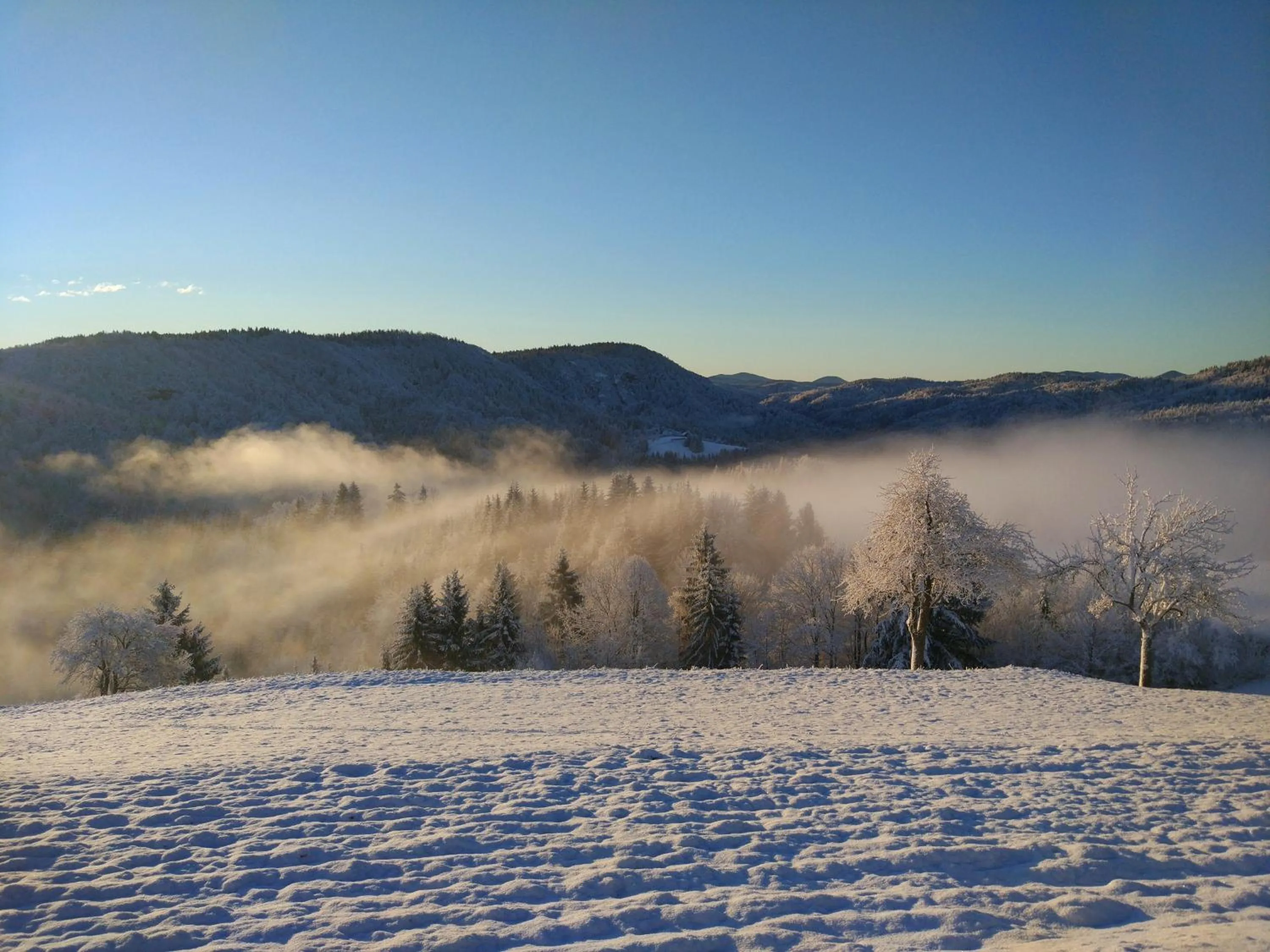 Natural landscape in Tourist Farm Strle With Great Local Food