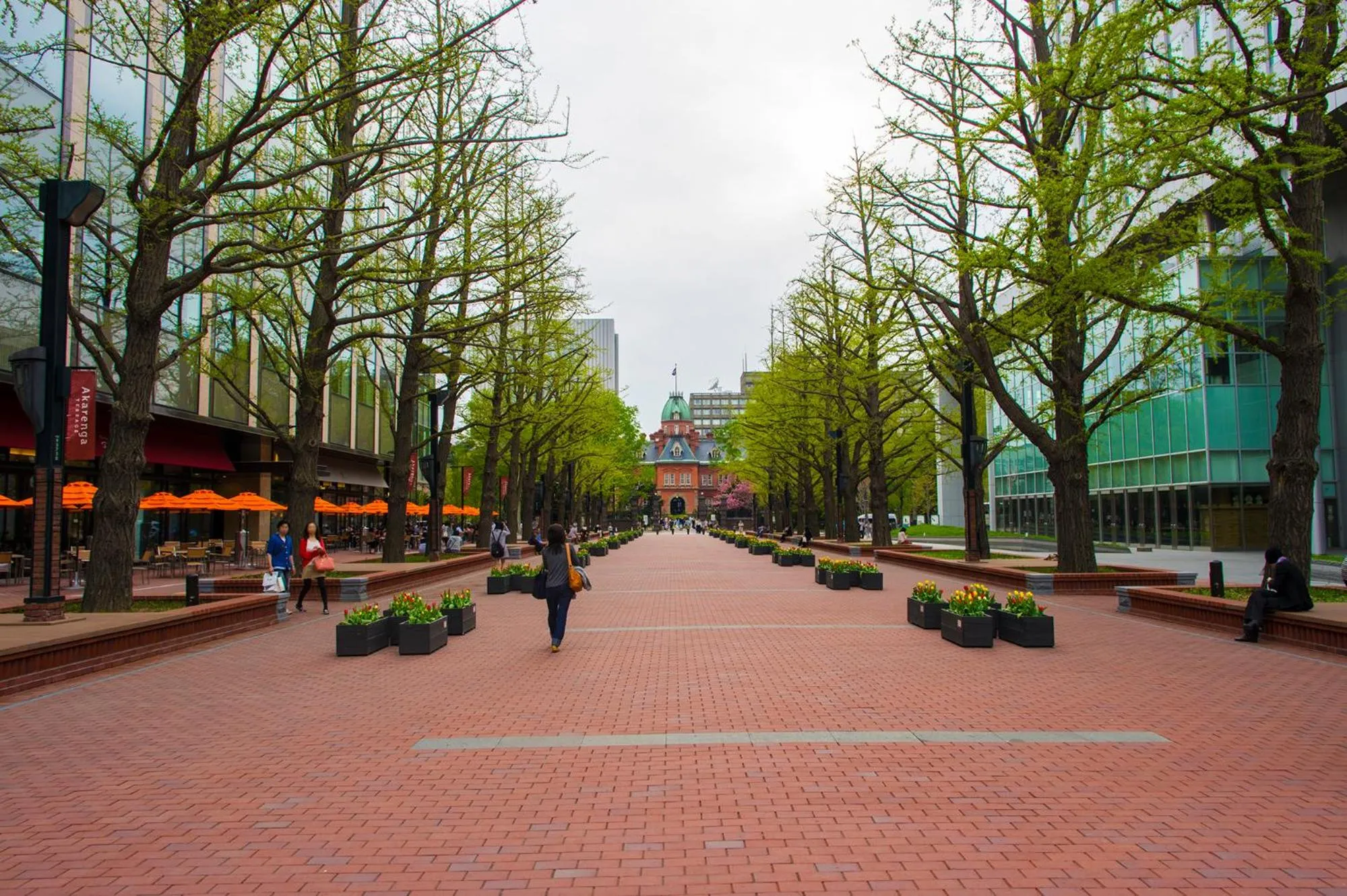 Nearby landmark in HOTEL MYSTAYS Sapporo Station