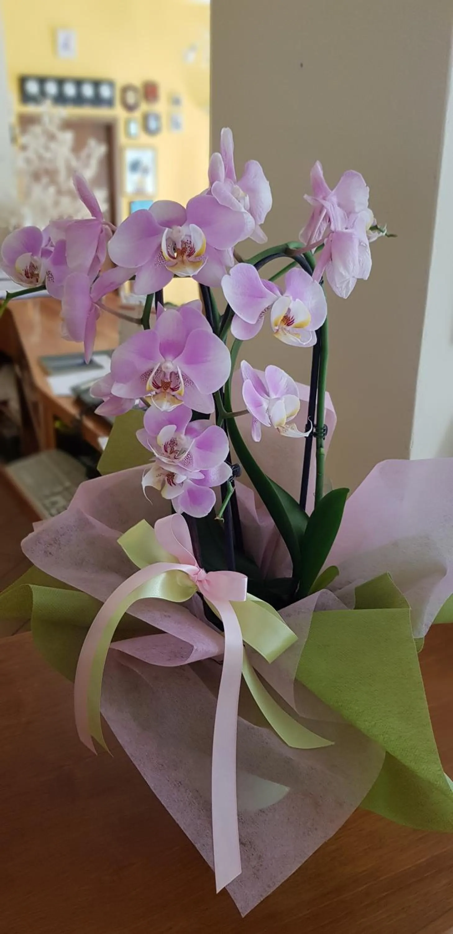 Decorative detail in Albergo Natucci