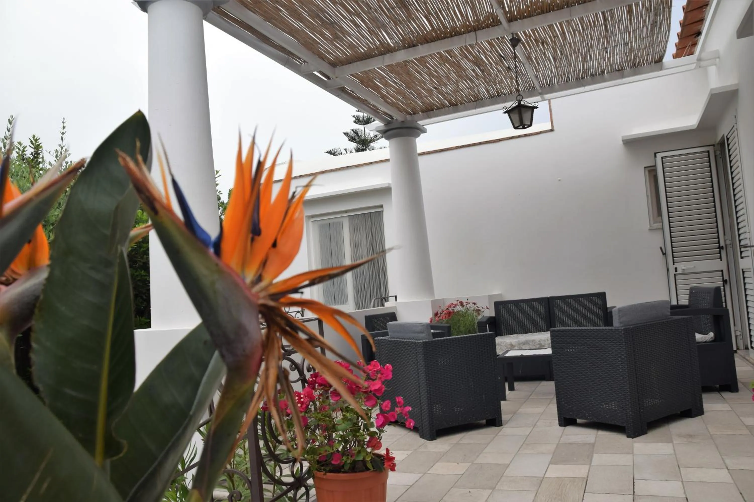 Patio in villa damecuta B&B