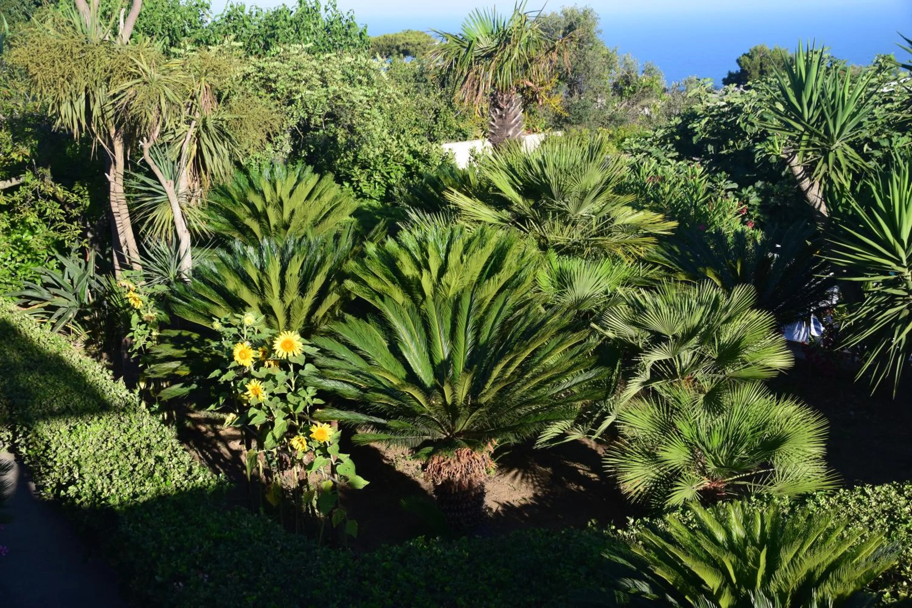 Garden in villa damecuta B&B