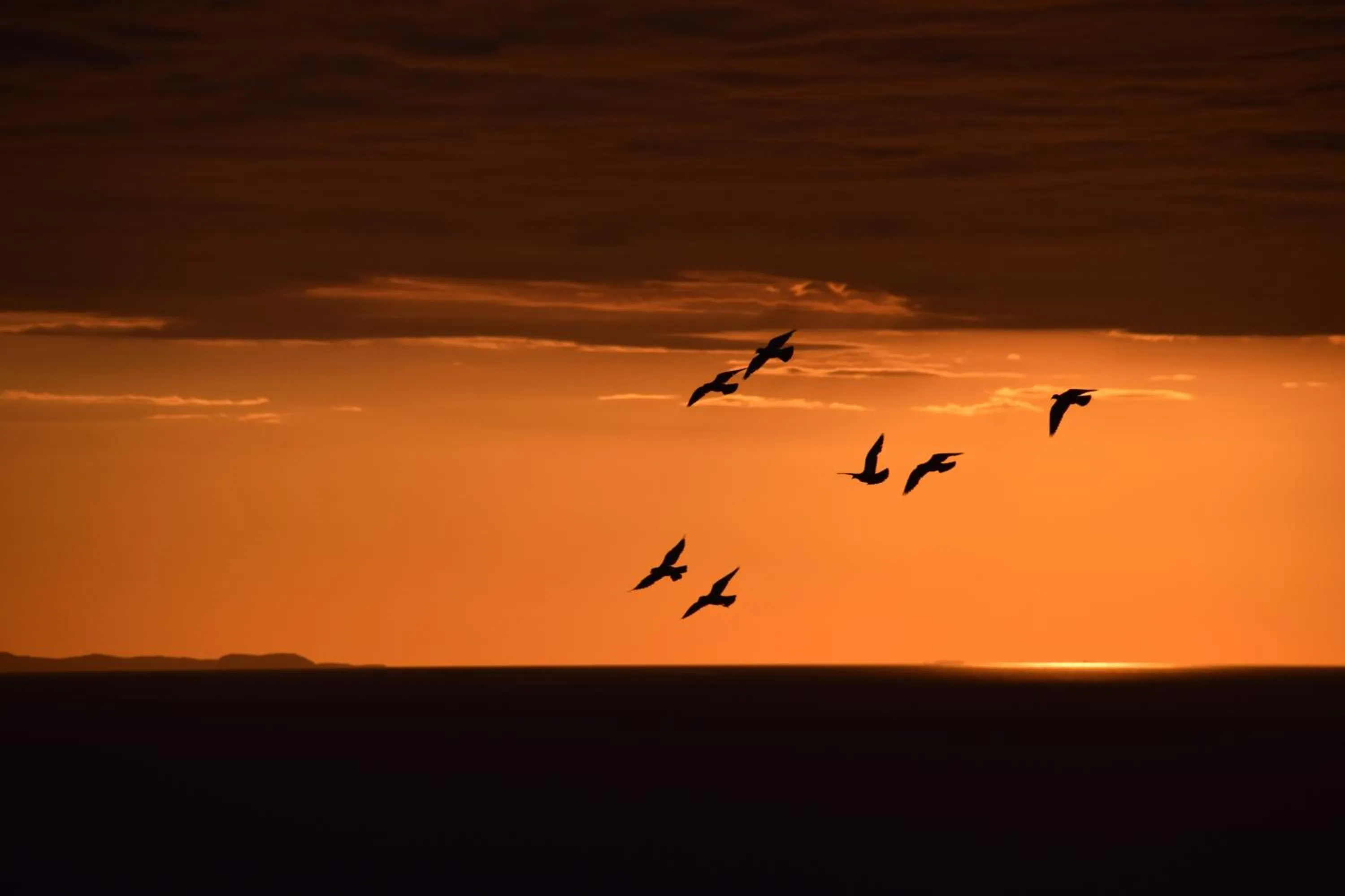 Natural landscape in villa damecuta B&B