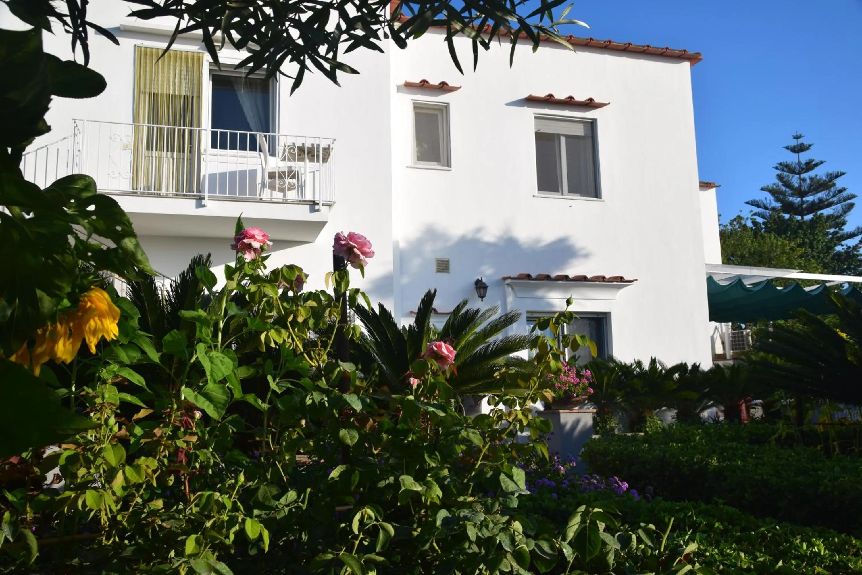 Property building in villa damecuta B&B