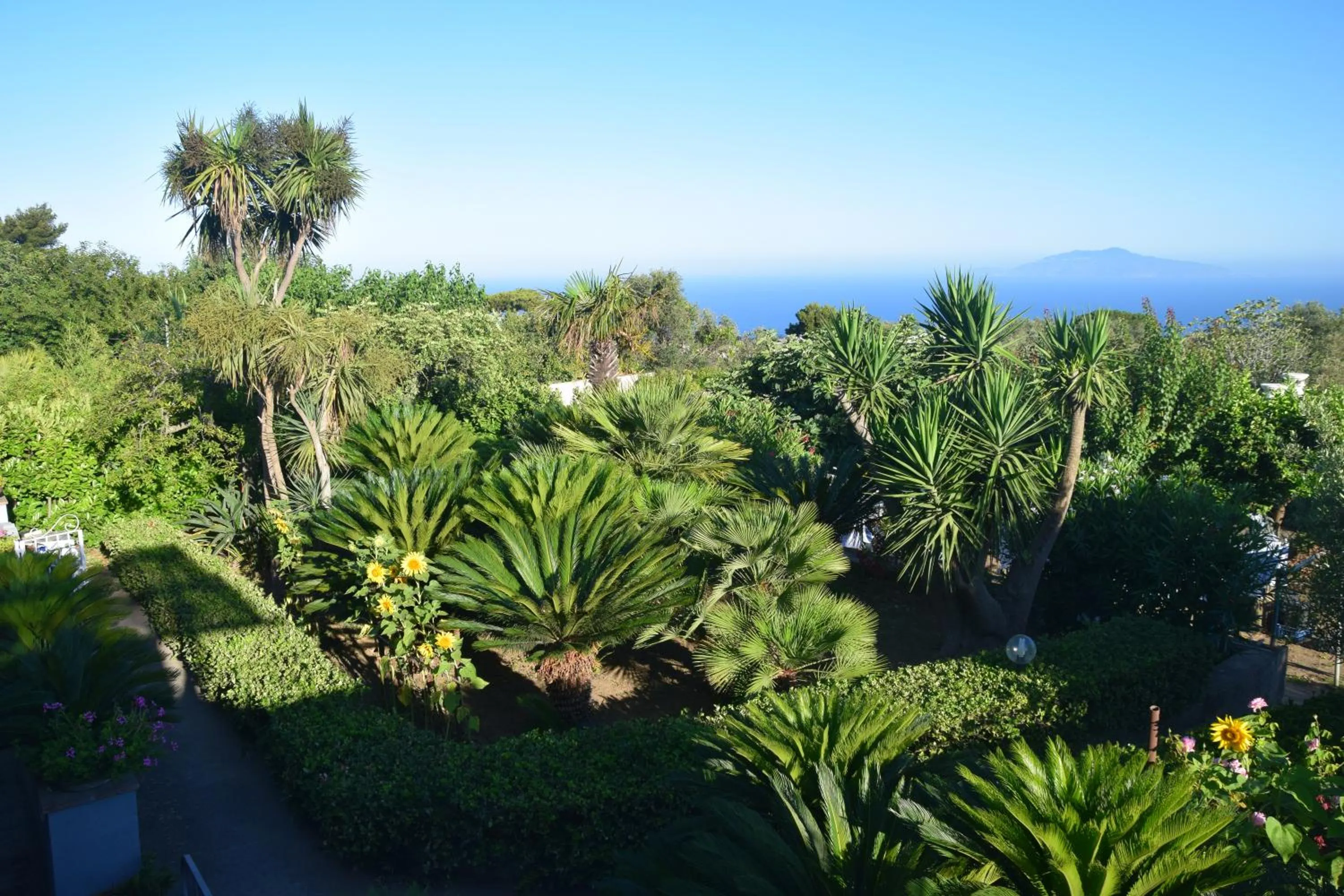 Garden in villa damecuta B&B