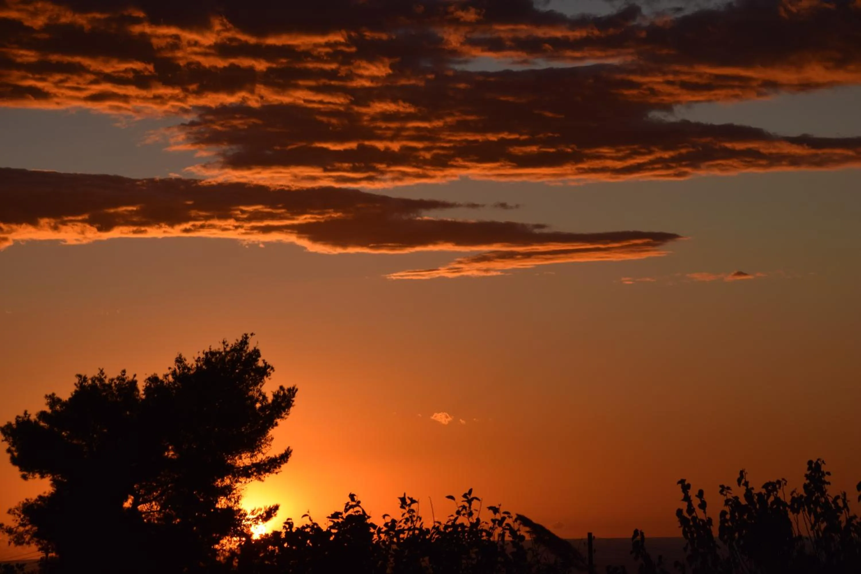Sunset in villa damecuta B&B