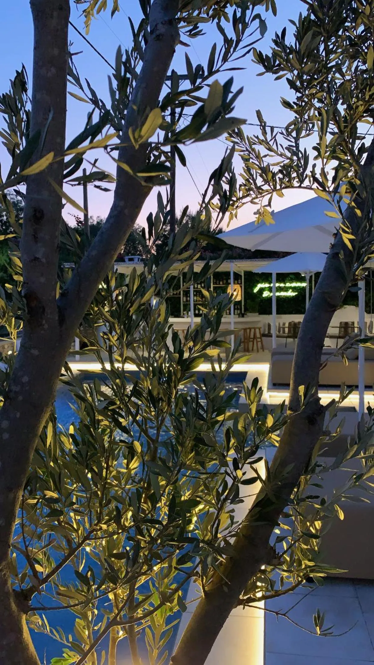 Alidian bay Suites Leros