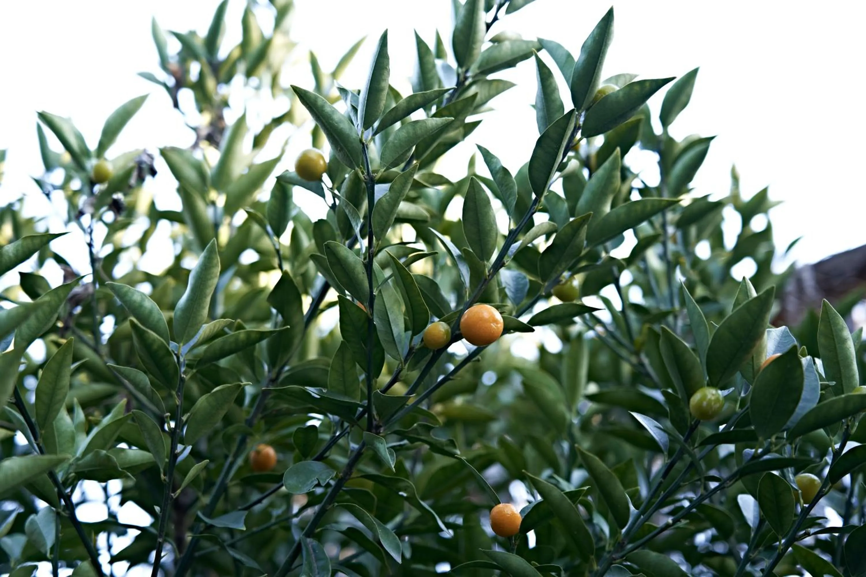 Property building in Yamada Bessou くつろぎの温泉宿 山田別荘
