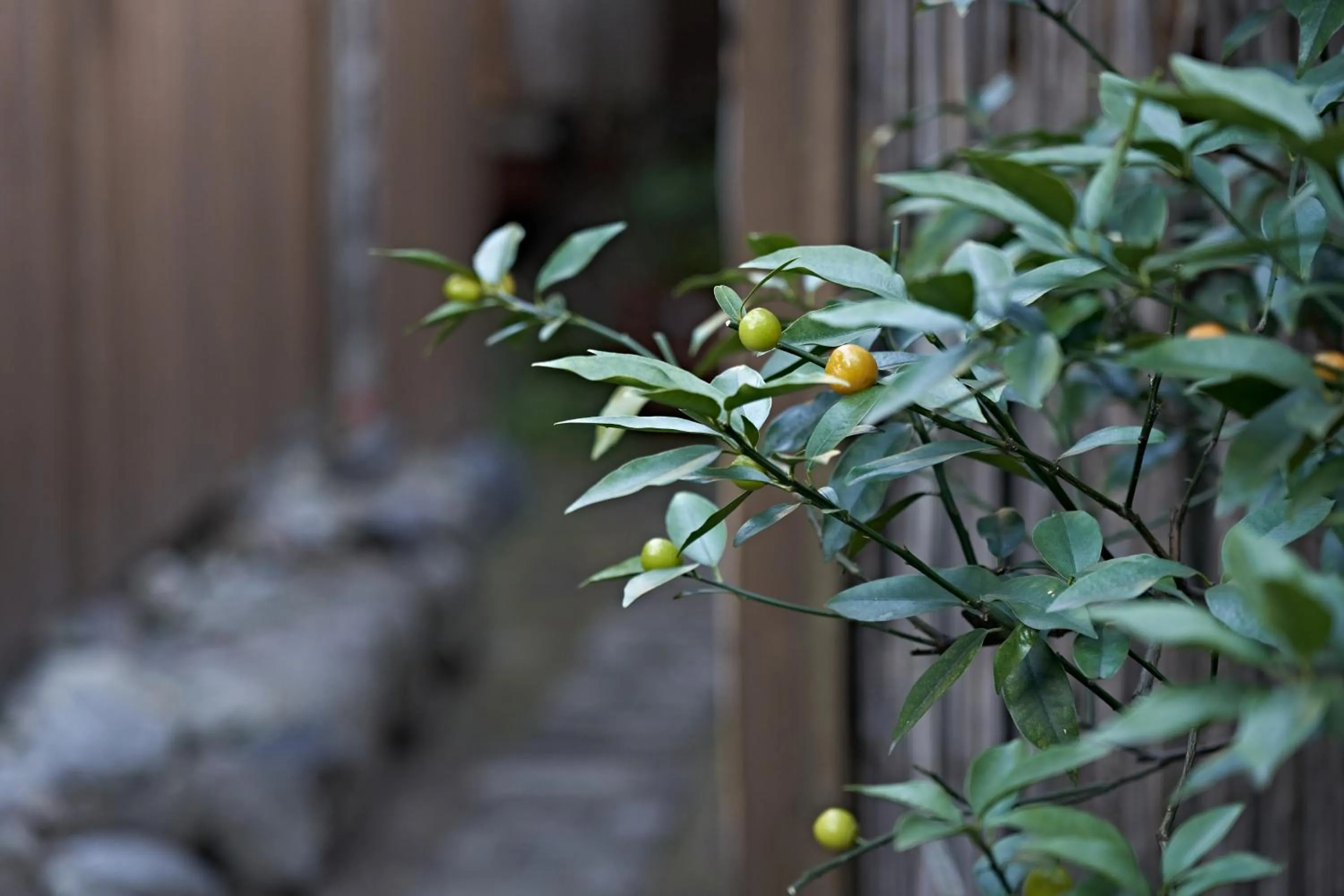 Property building in Yamada Bessou くつろぎの温泉宿 山田別荘