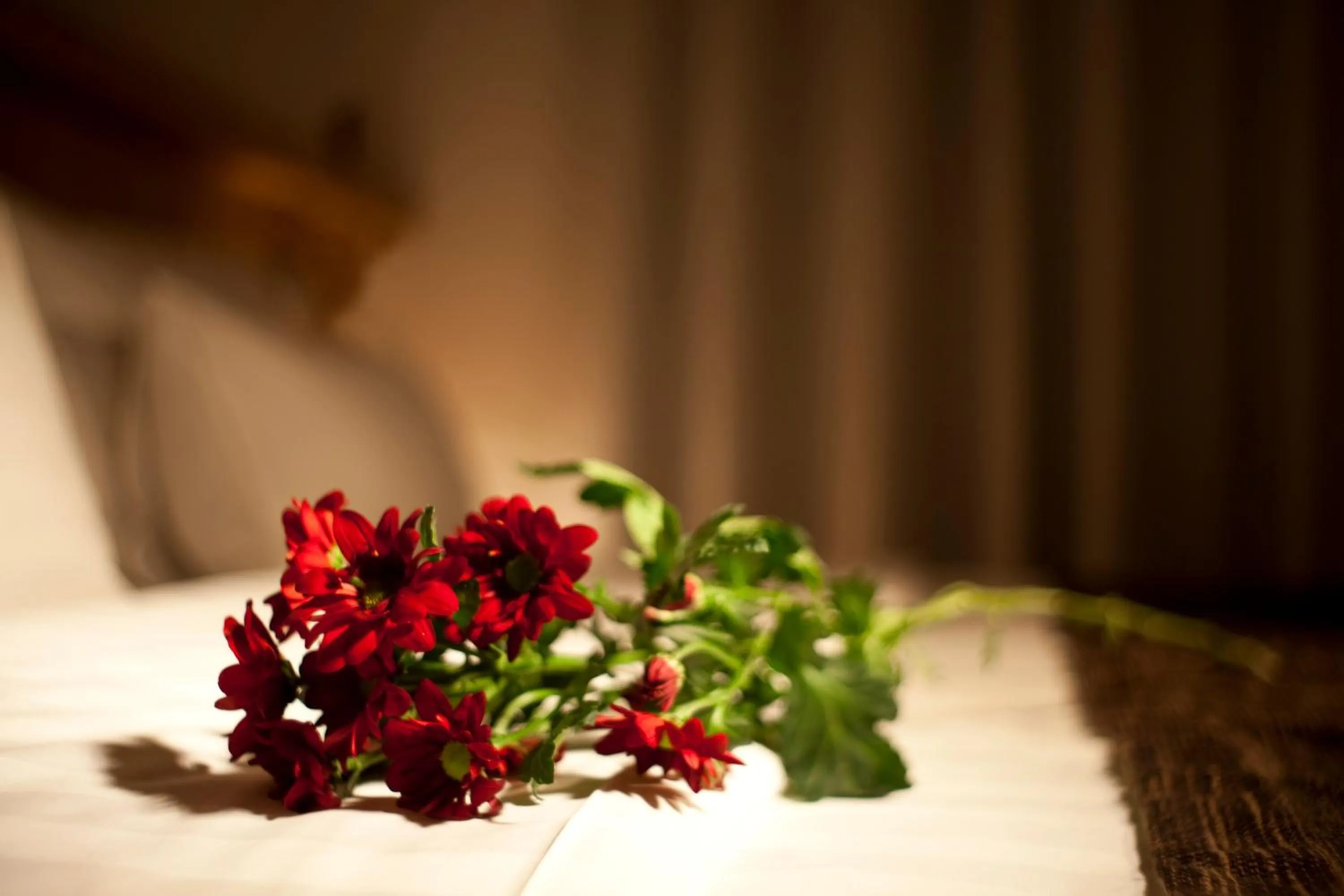 Decorative detail in Dahlia Inn