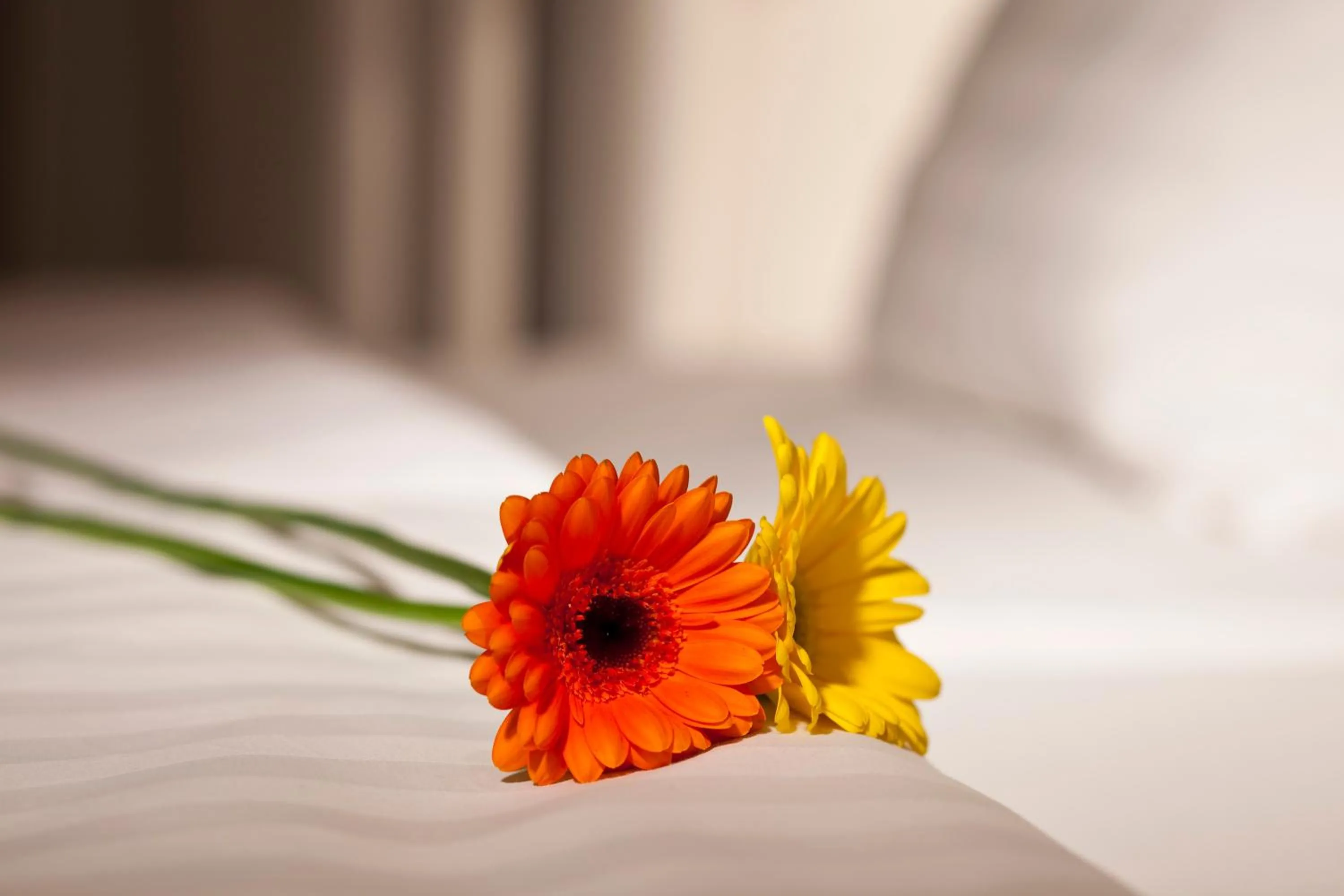 Decorative detail, Bed in Dahlia Inn