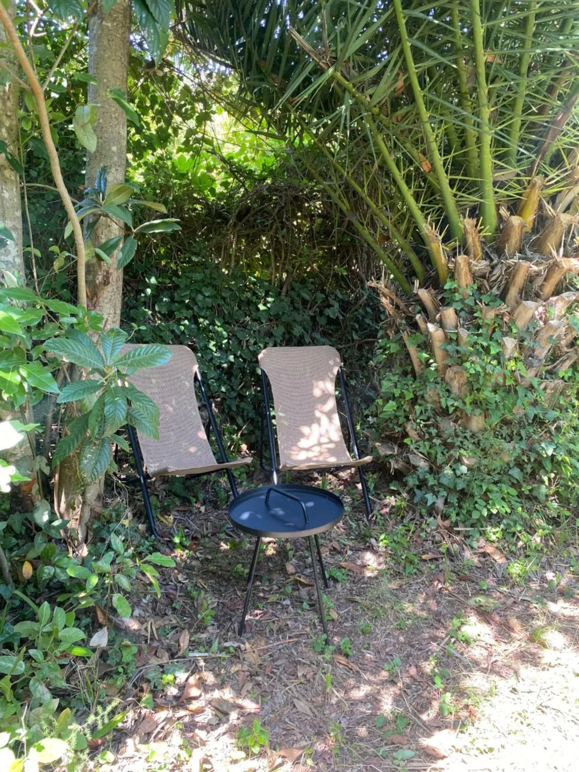 Garden in Seaside Holiday Home Andrija