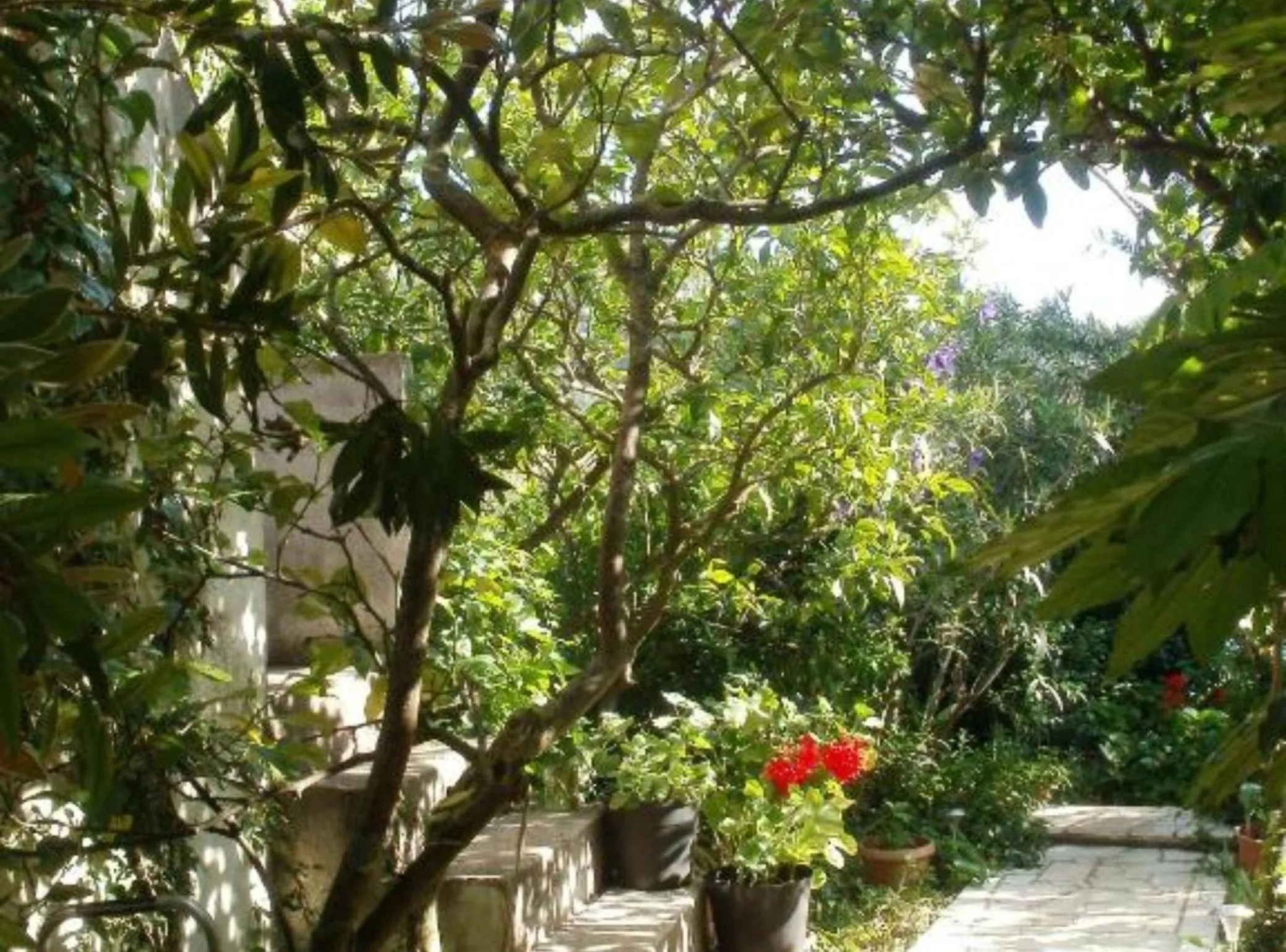Property building in Seaside Holiday Home Andrija