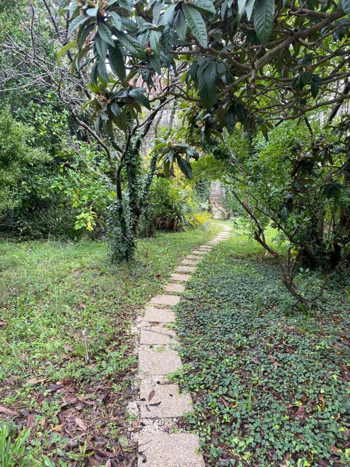 Garden in Seaside Holiday Home Andrija