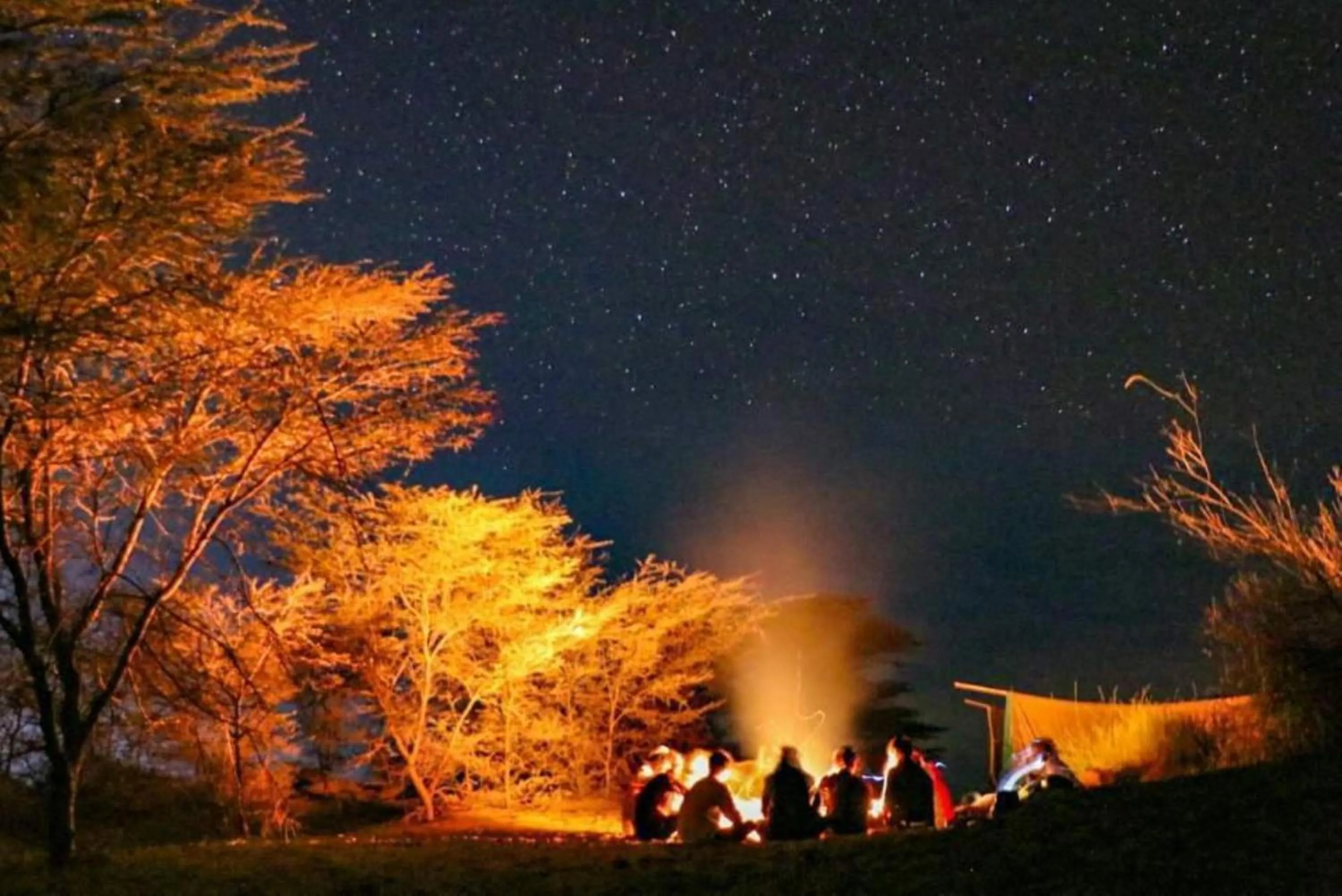 Night in Wonbin Safari Jaisalmer