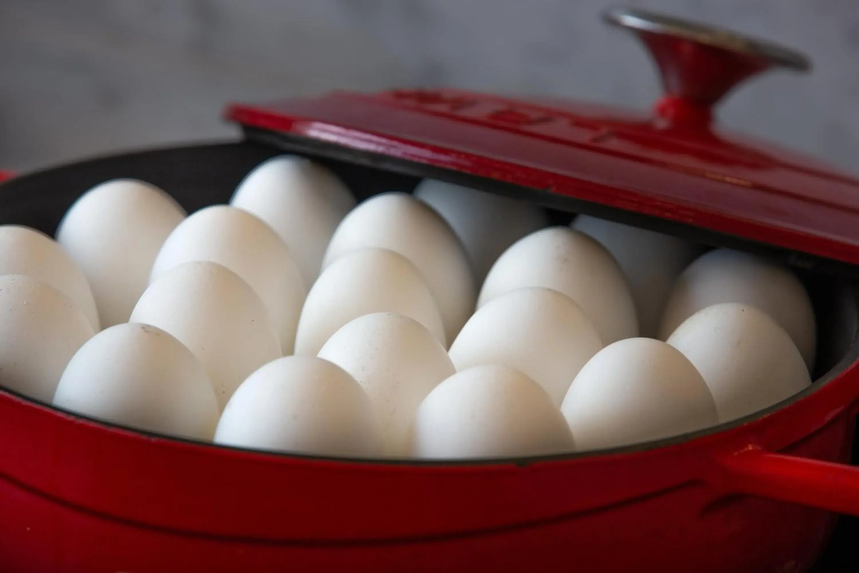 Restaurant/places to eat in Holiday Inn Bengaluru Racecourse by IHG Restaurant/places to eat in Holiday Inn Bengaluru Racecourse by IHG