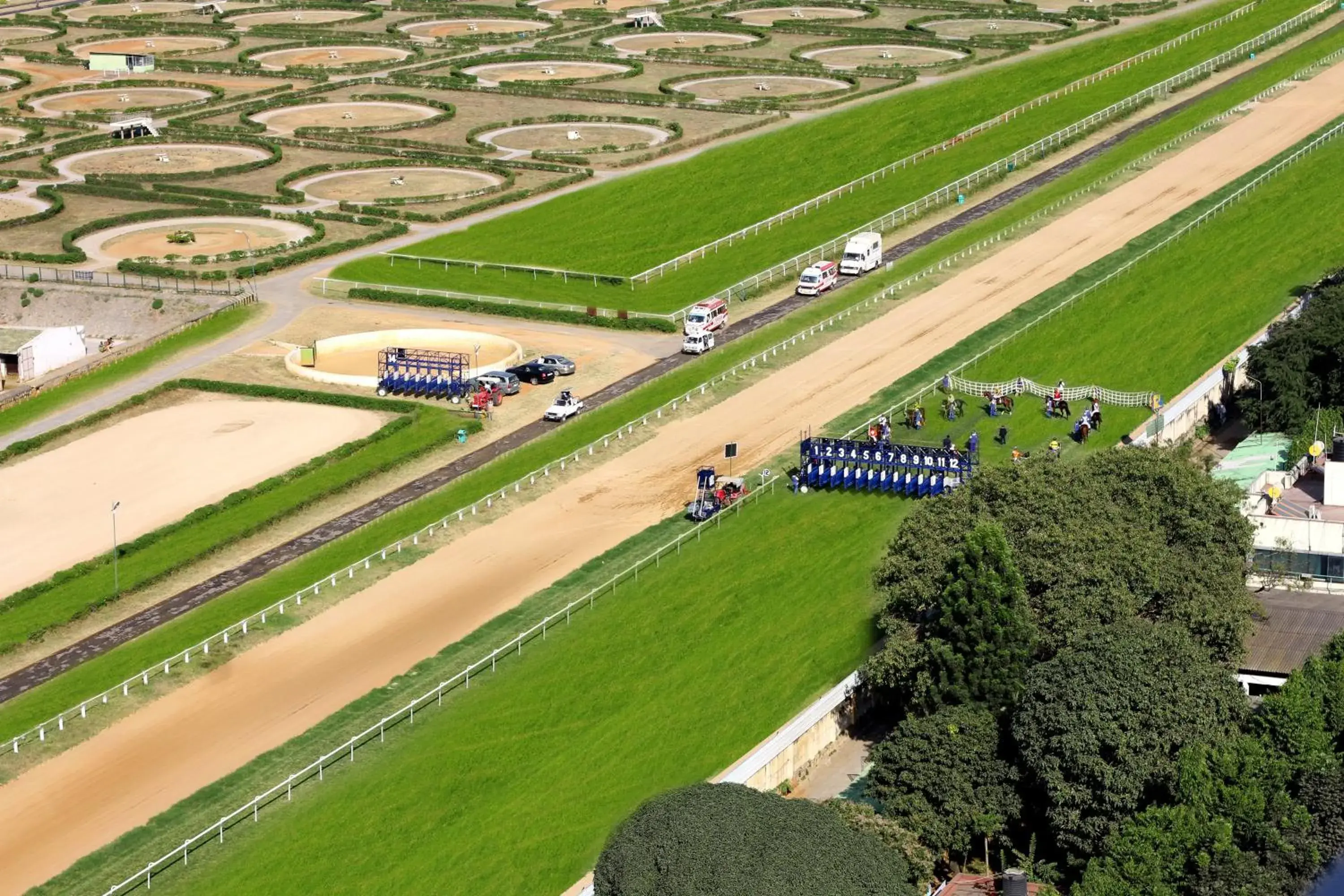 Property building in Holiday Inn Bengaluru Racecourse by IHG Property building in Holiday Inn Bengaluru Racecourse by IHG