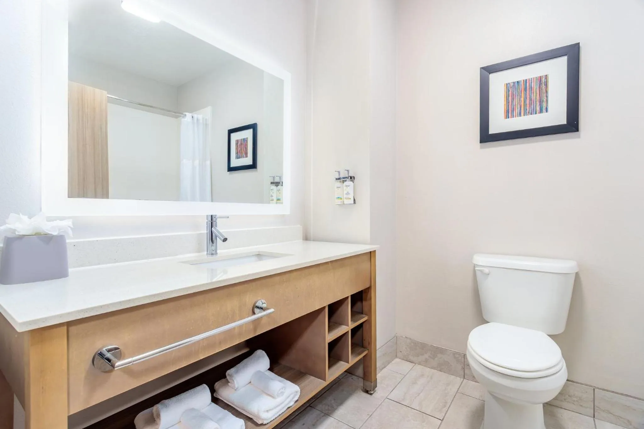 Bathroom in Holiday Inn Express & Suites Memphis Arpt Elvis Presley Blv by IHG