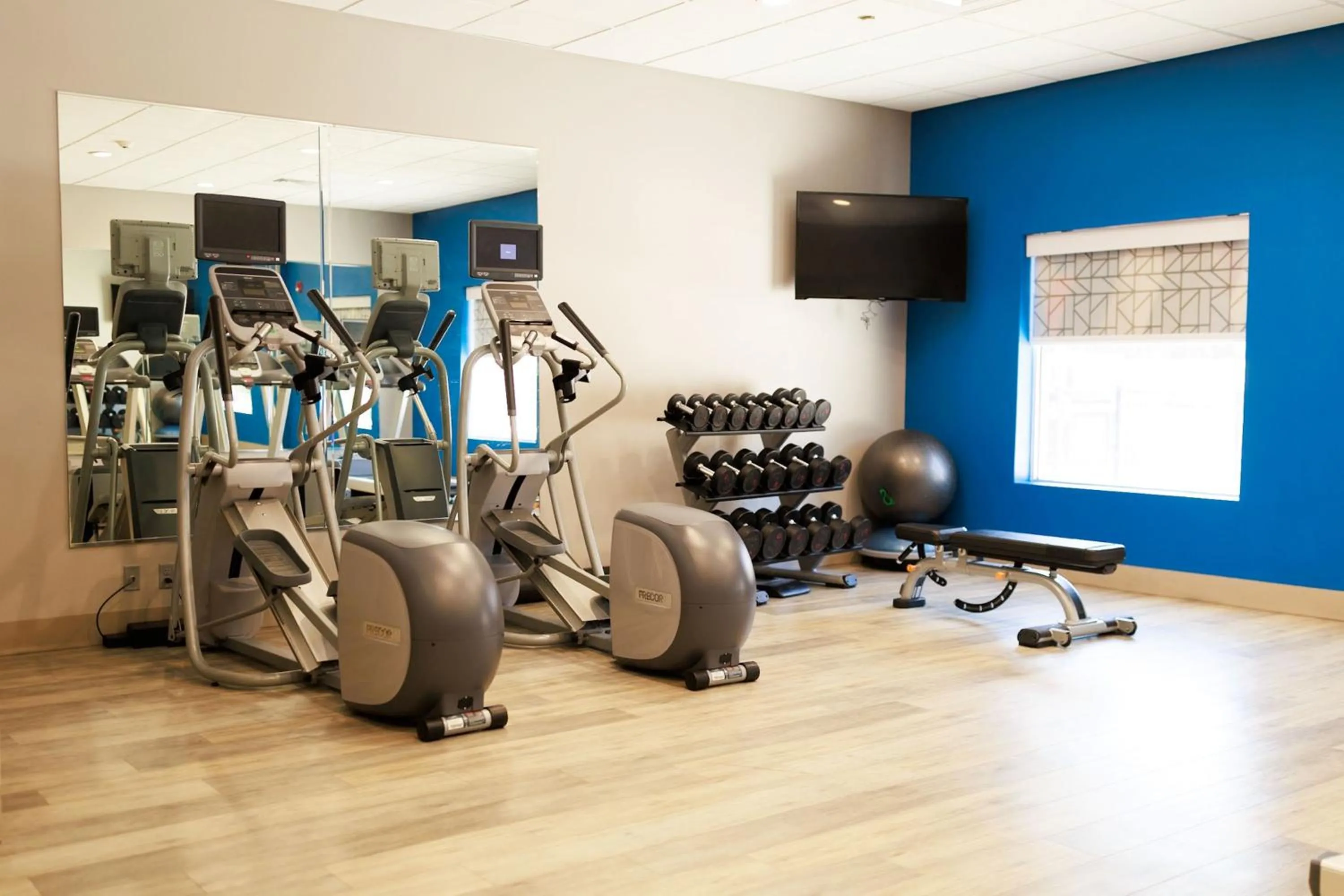 Fitness centre/facilities in Holiday Inn Express & Suites Memphis Arpt Elvis Presley Blv by IHG