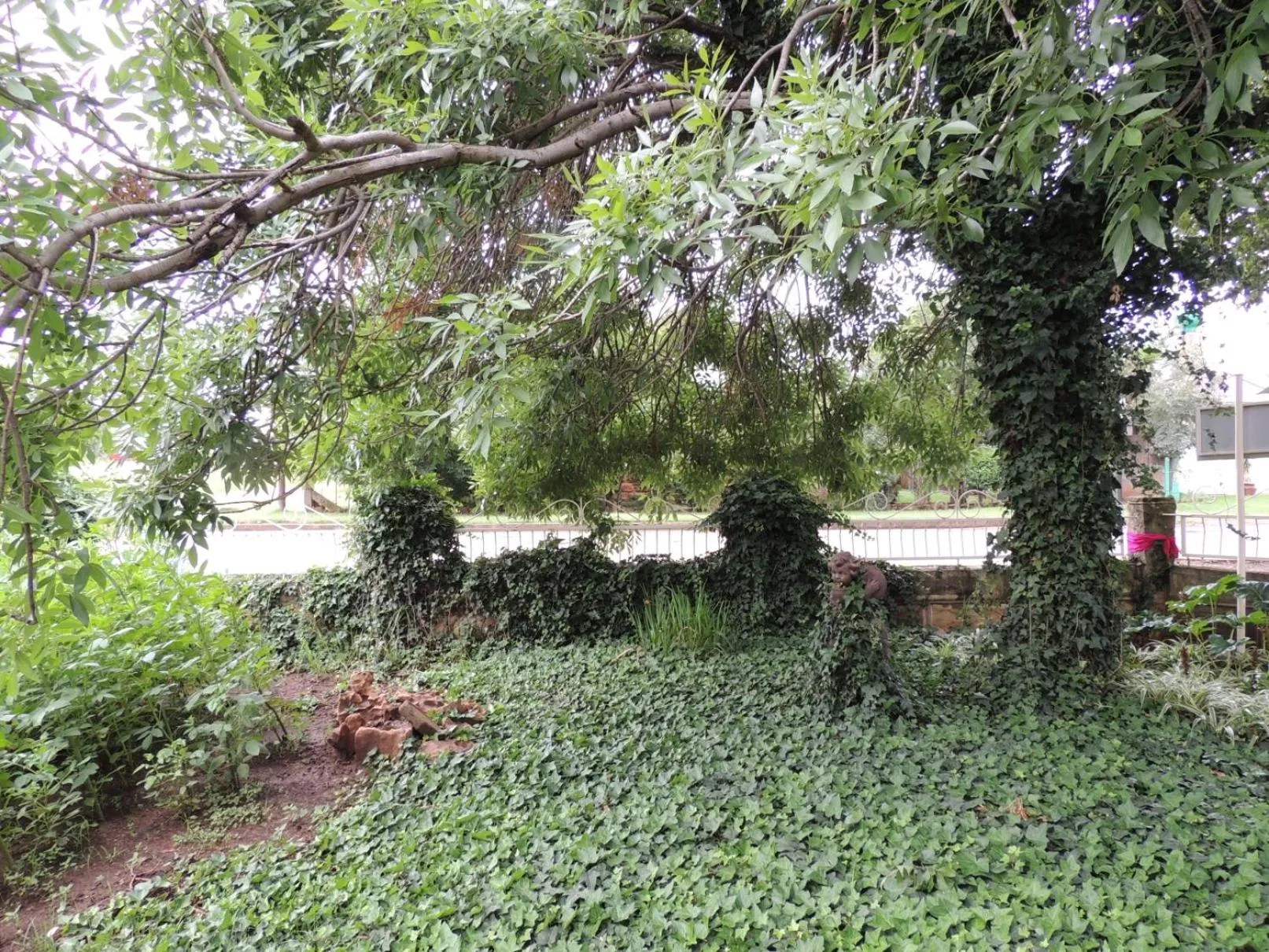 Garden in Wegkomkans B&B