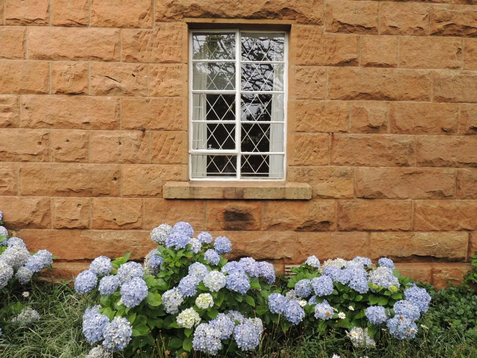 Garden in Wegkomkans B&B