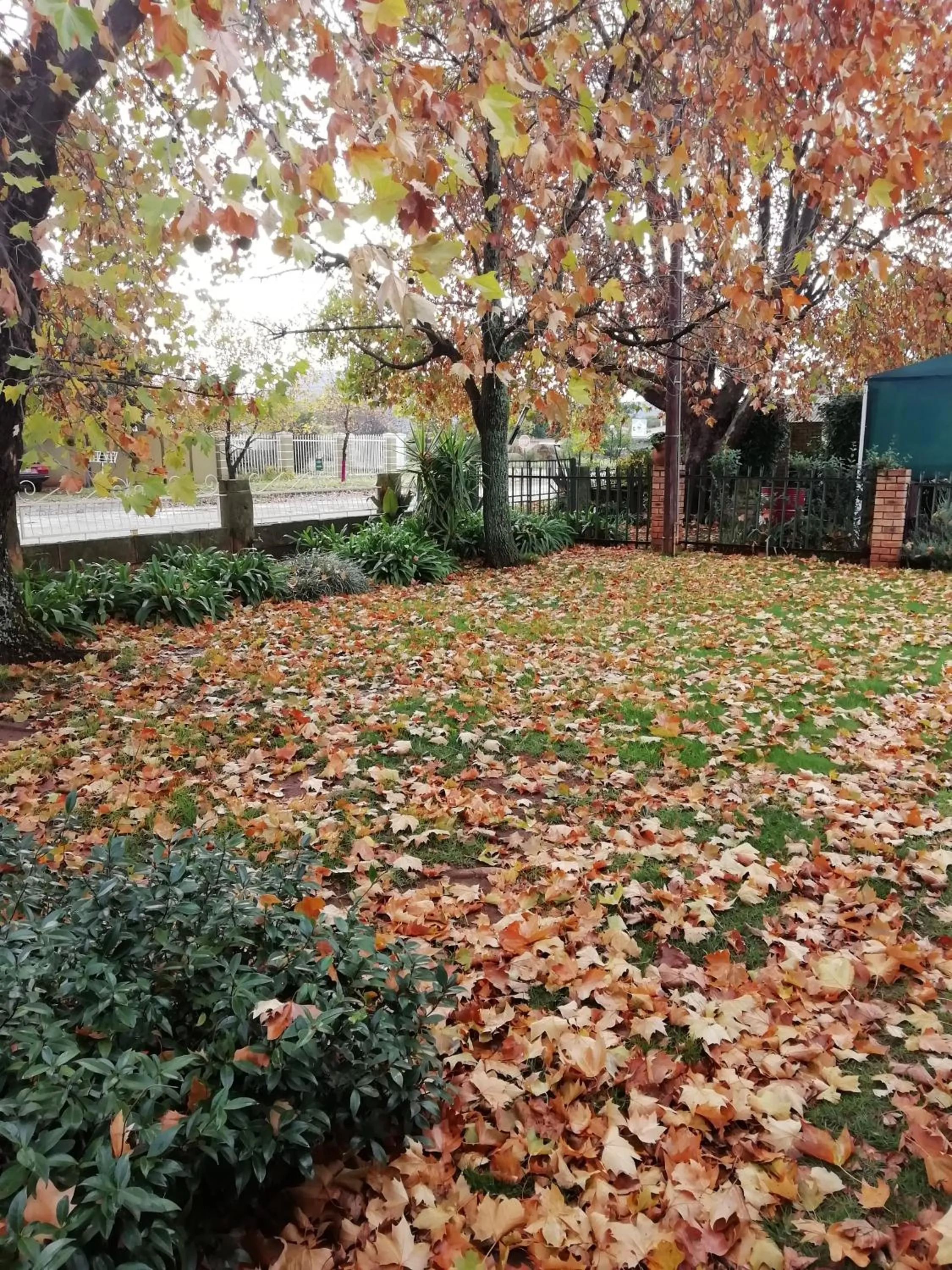 Garden in Wegkomkans B&B