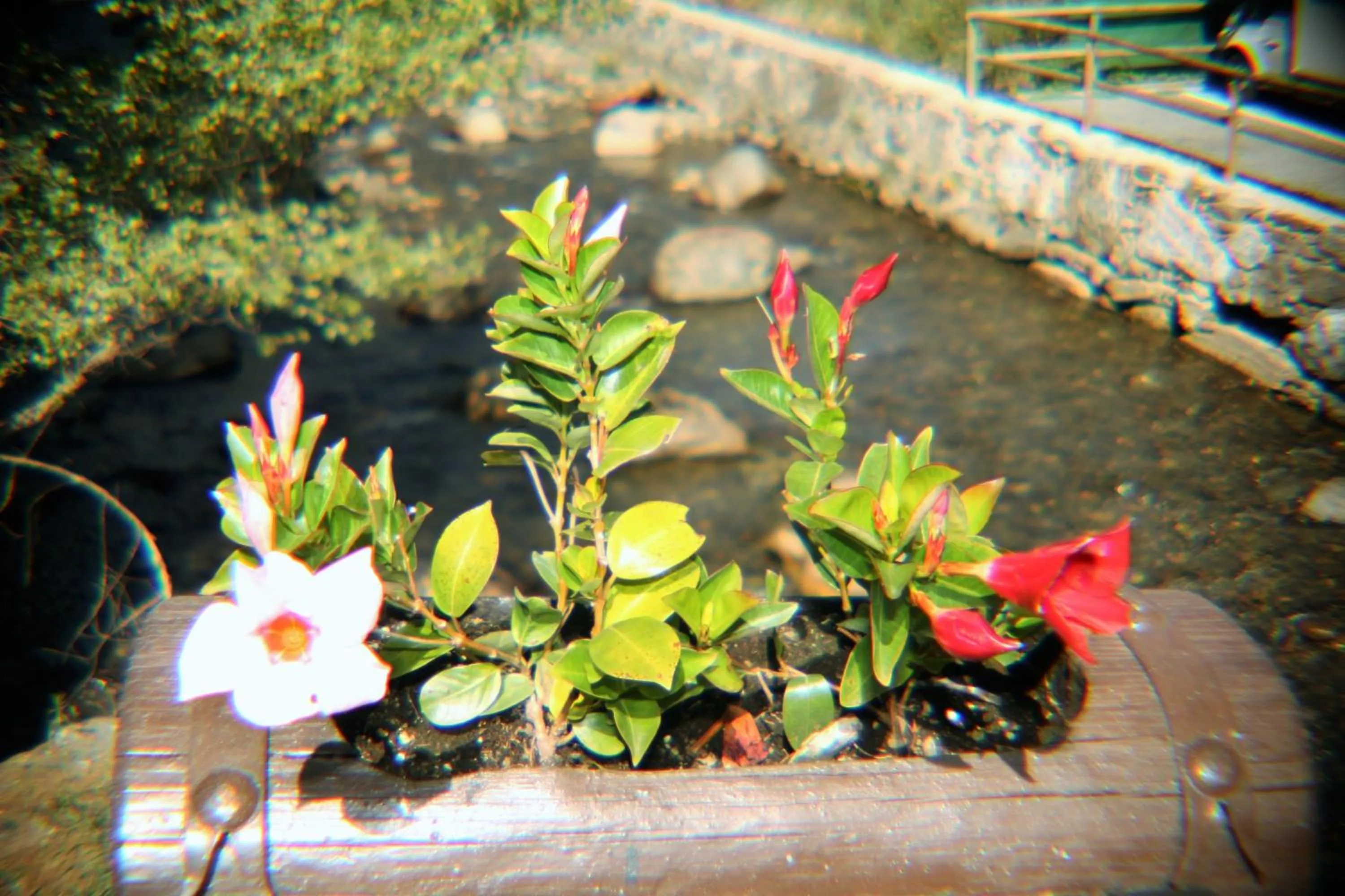 Neighbourhood in Hotel Sucara