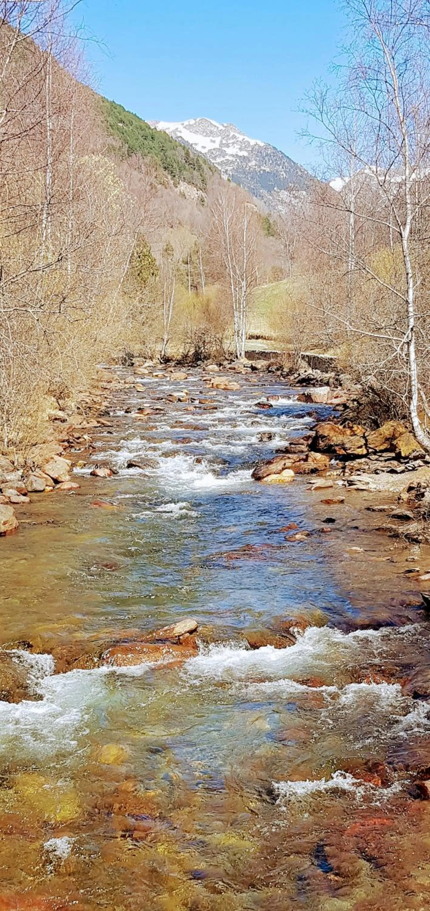 Natural landscape in Hotel Sucara