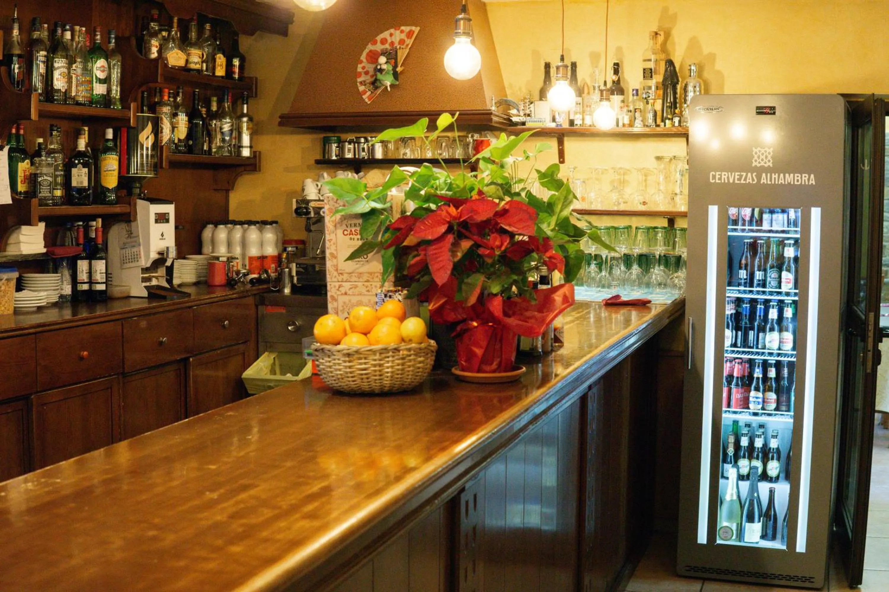 Lounge or bar in Hotel Sucara