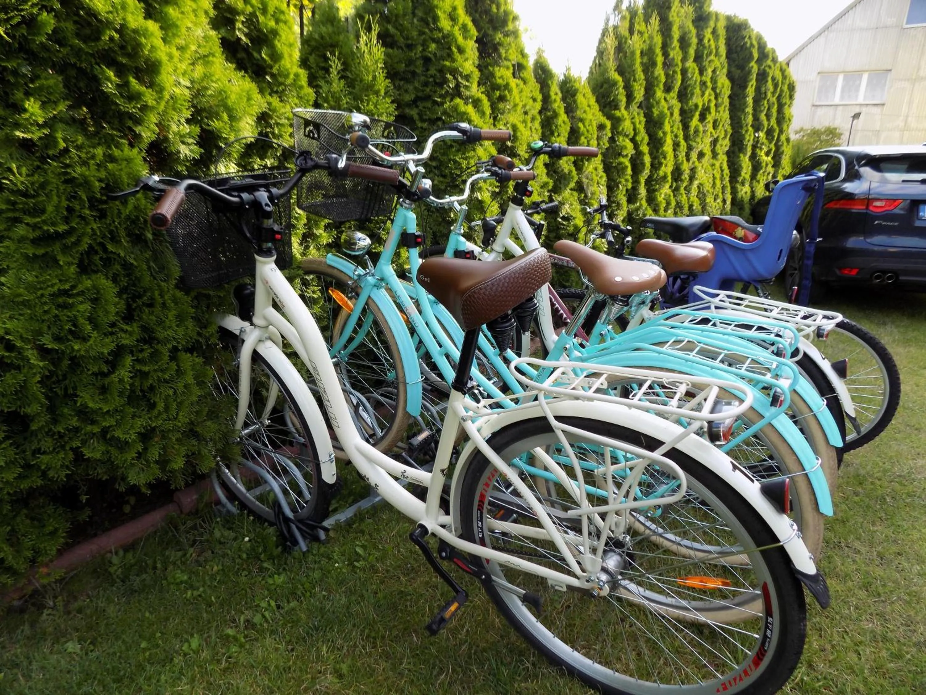 Cycling in Pensjonat Angela