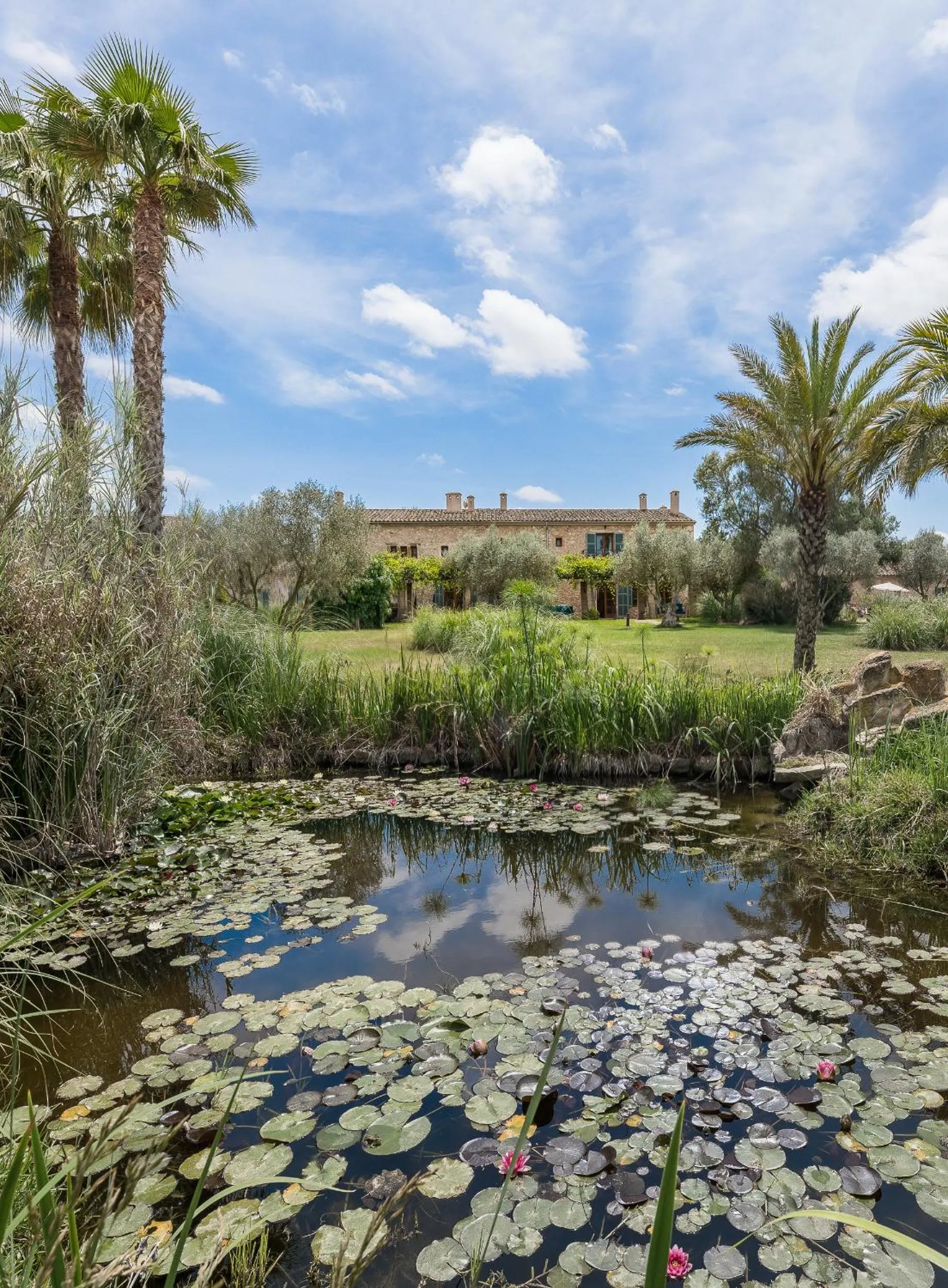 Off site in Hotel Sa Franquesa Nova