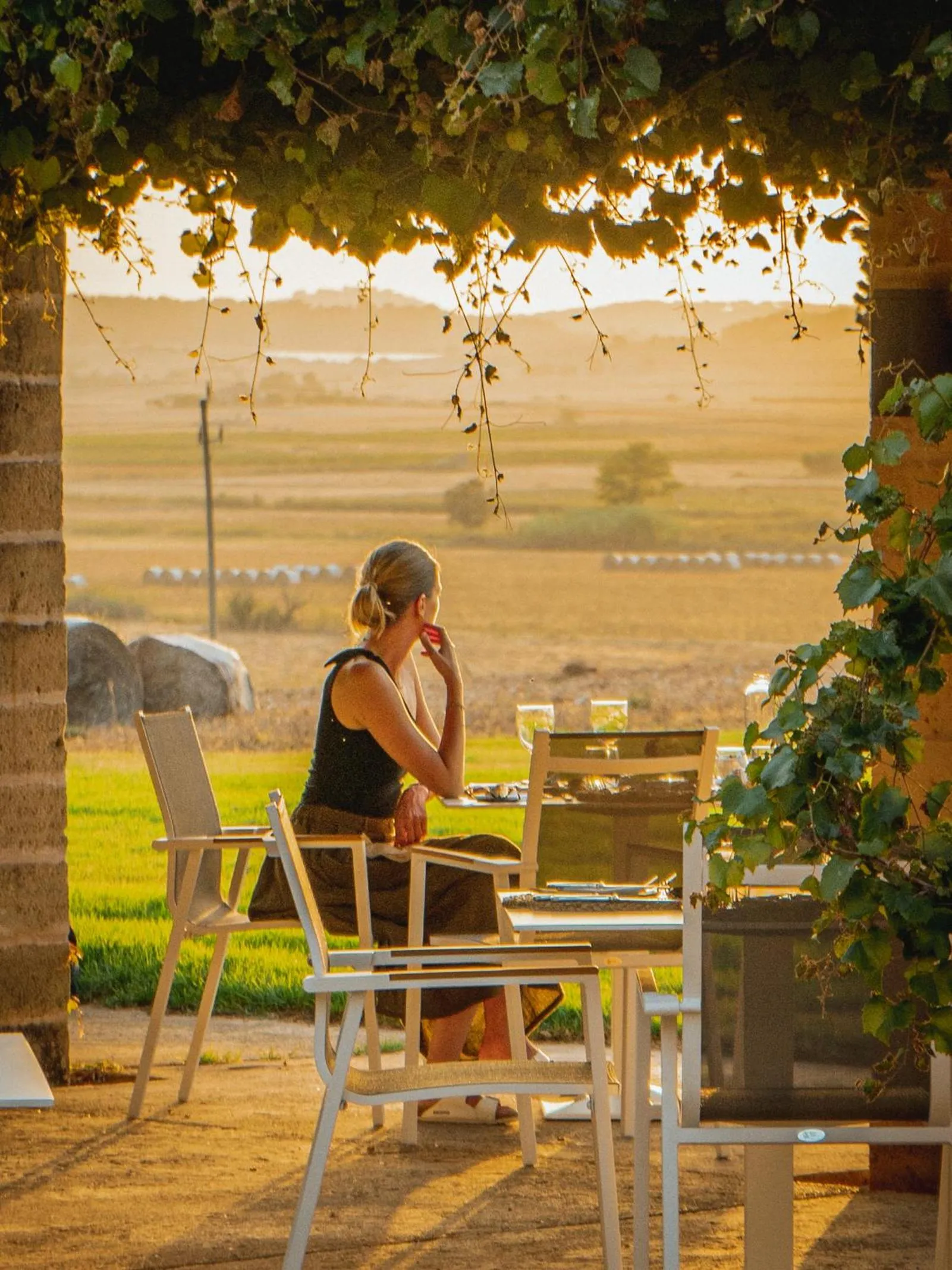 Restaurant/places to eat in Hotel Sa Franquesa Nova