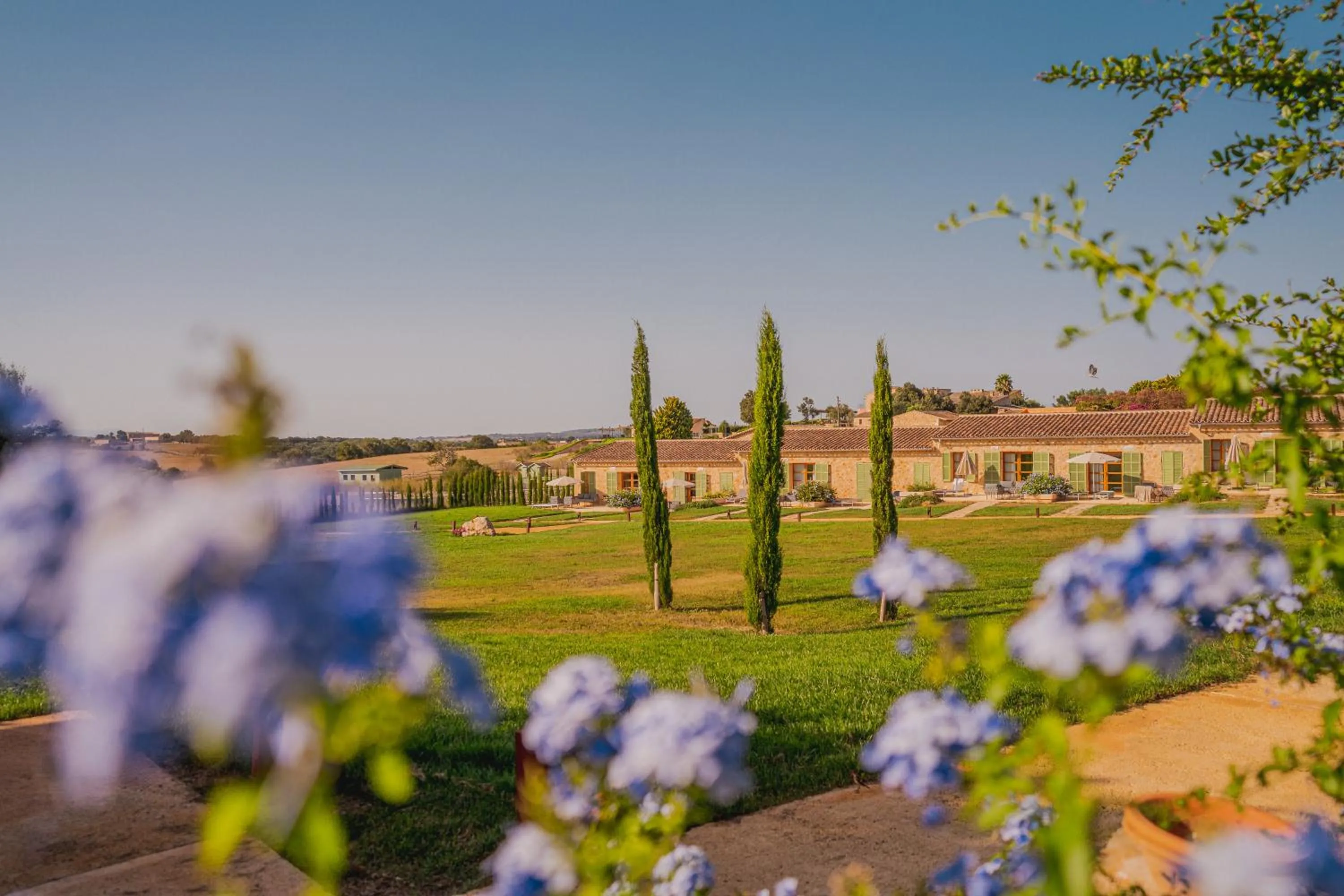 Other in Hotel Sa Franquesa Nova