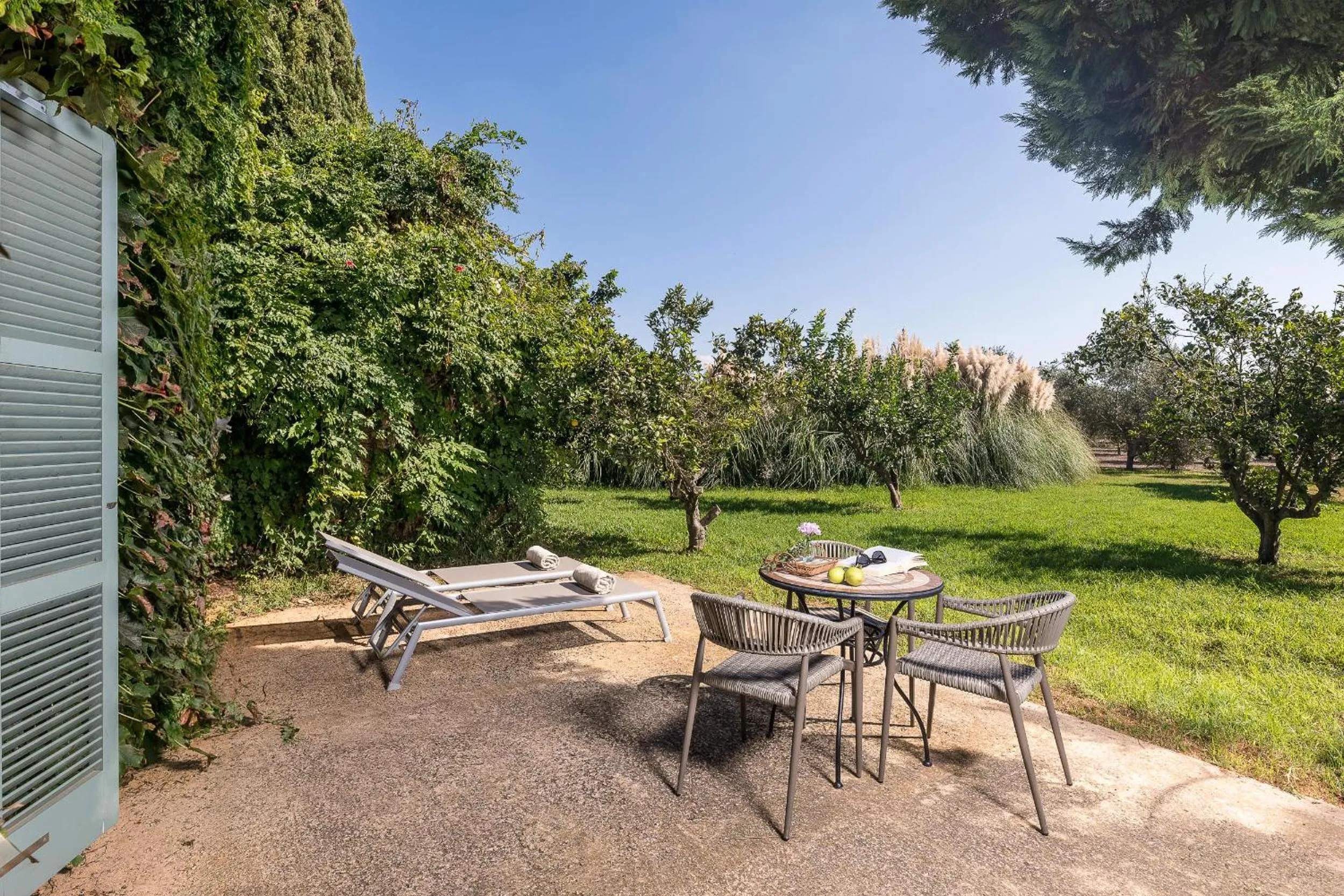 Natural landscape in Hotel Sa Franquesa Nova