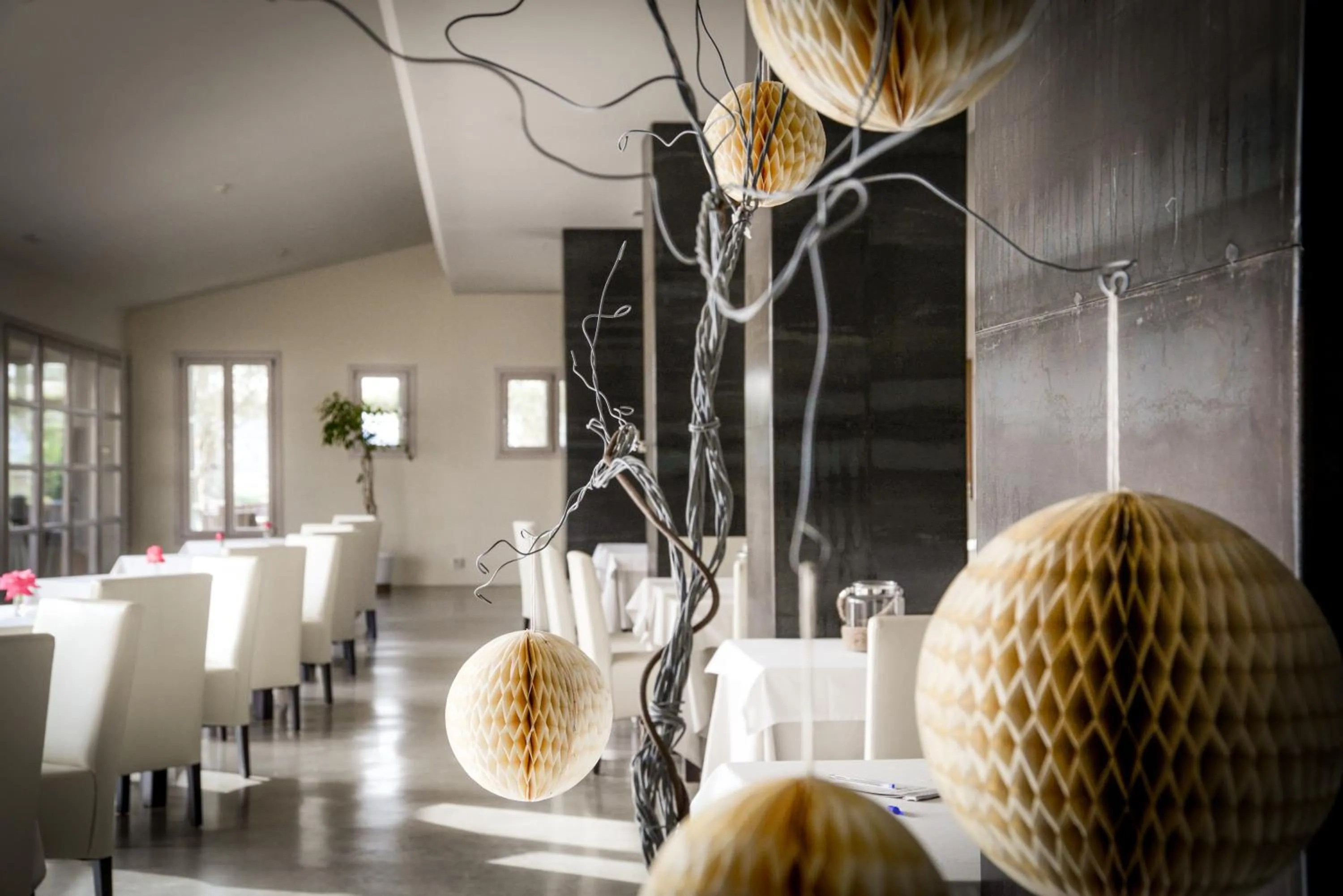 Restaurant/places to eat in Hotel Sa Franquesa Nova