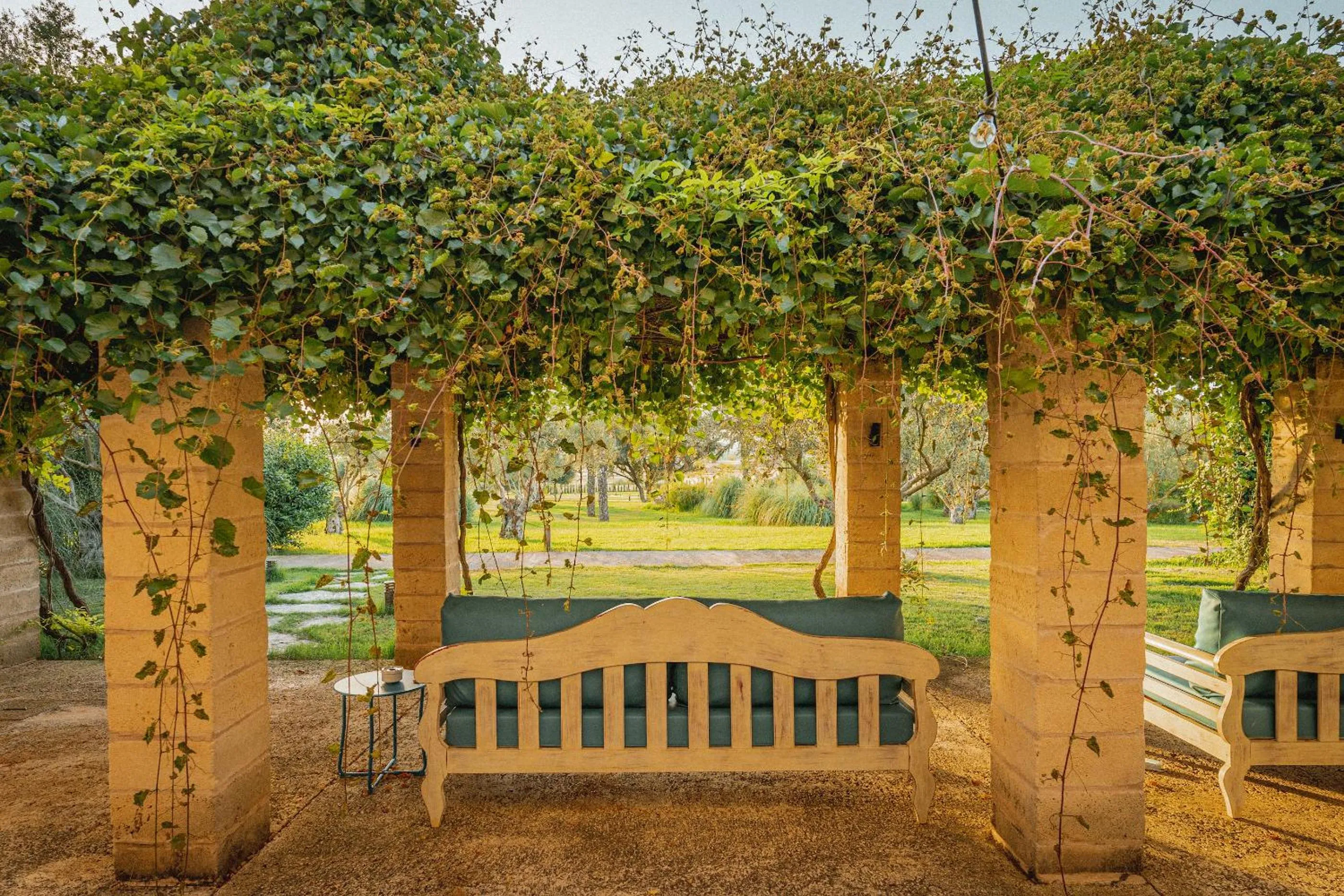 Garden in Hotel Sa Franquesa Nova