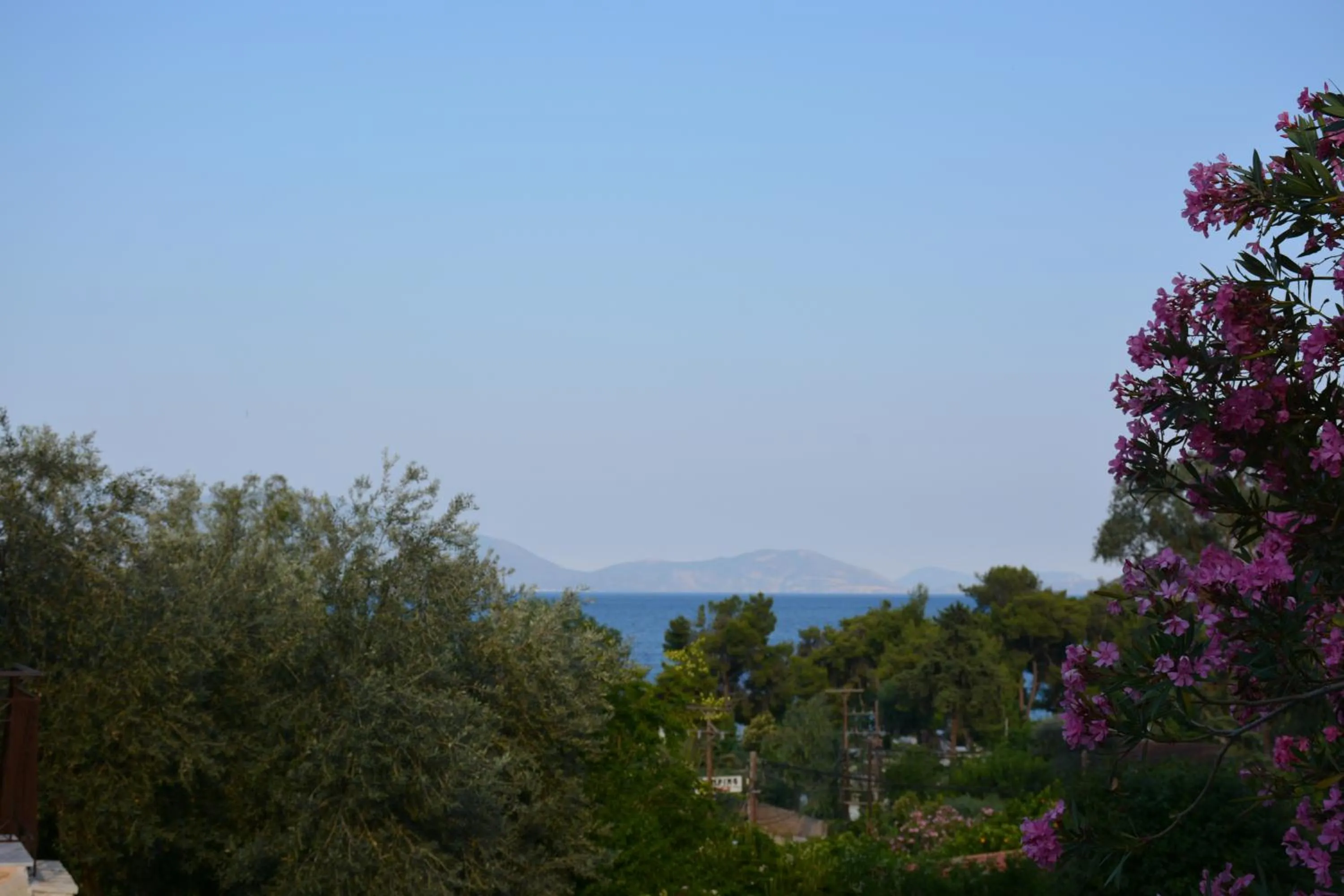 On site in Aristotelis