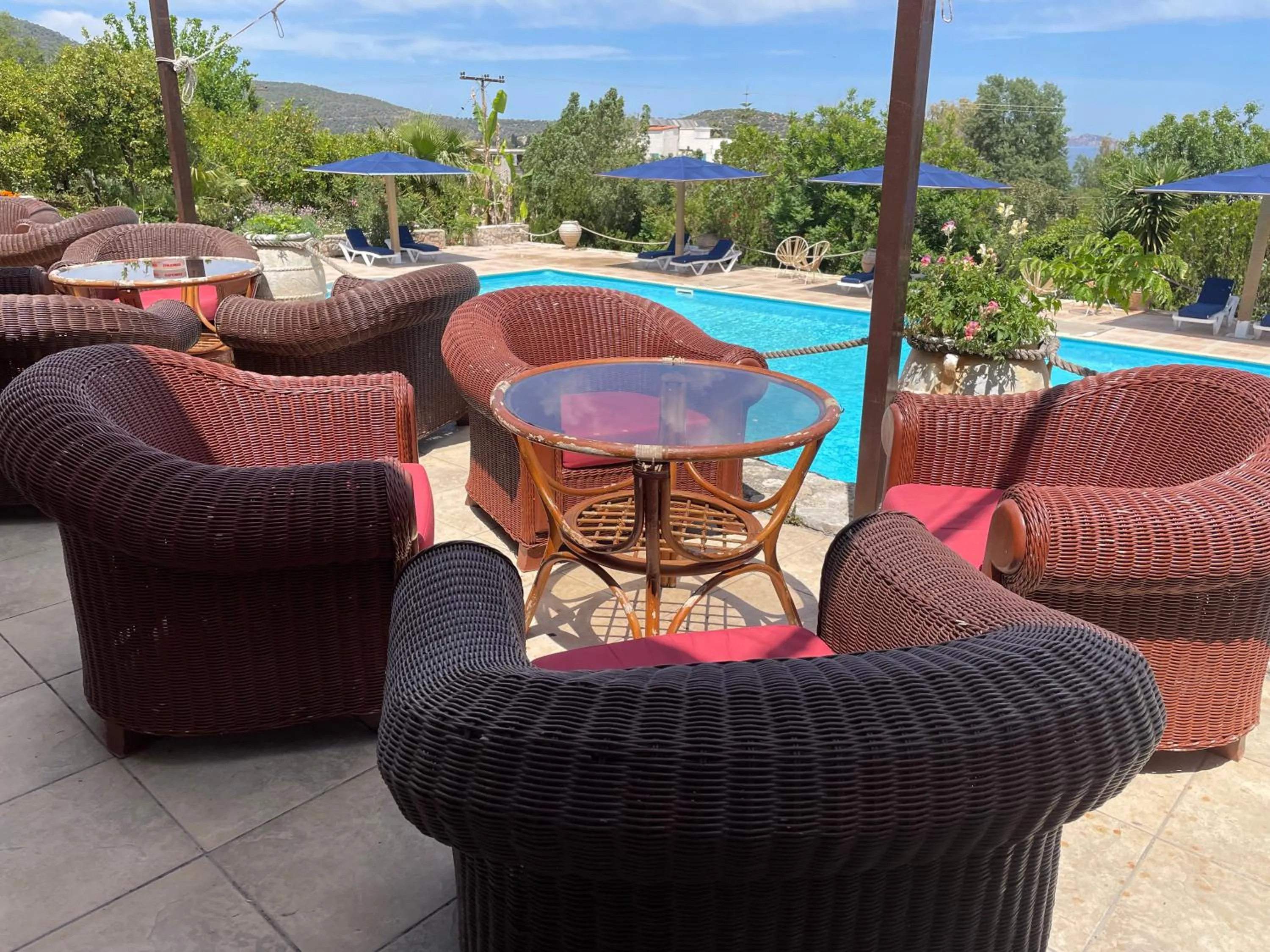 Breakfast in Aristotelis