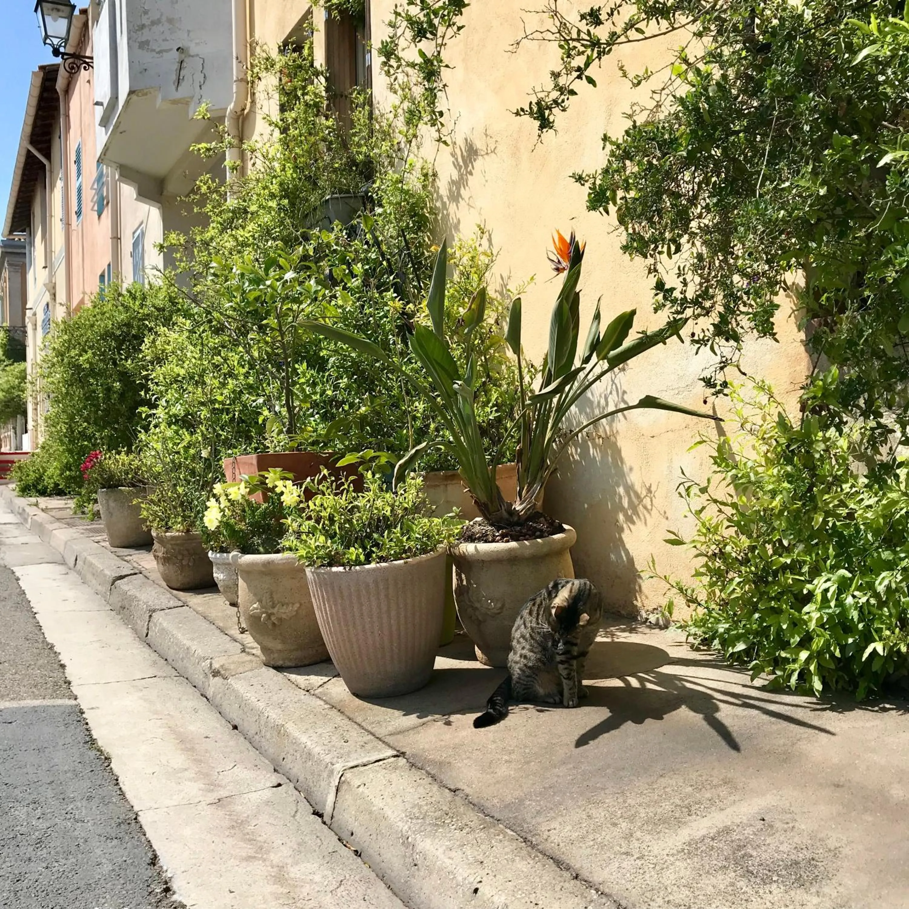 Other in Kyriad Martigues Sud