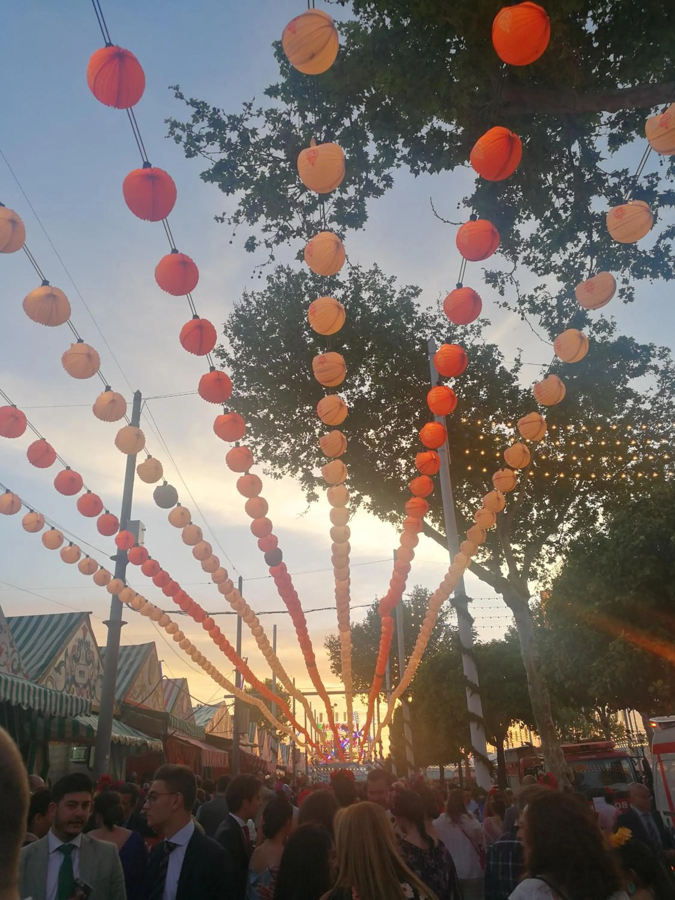 Apartamentos Flamenco B&B