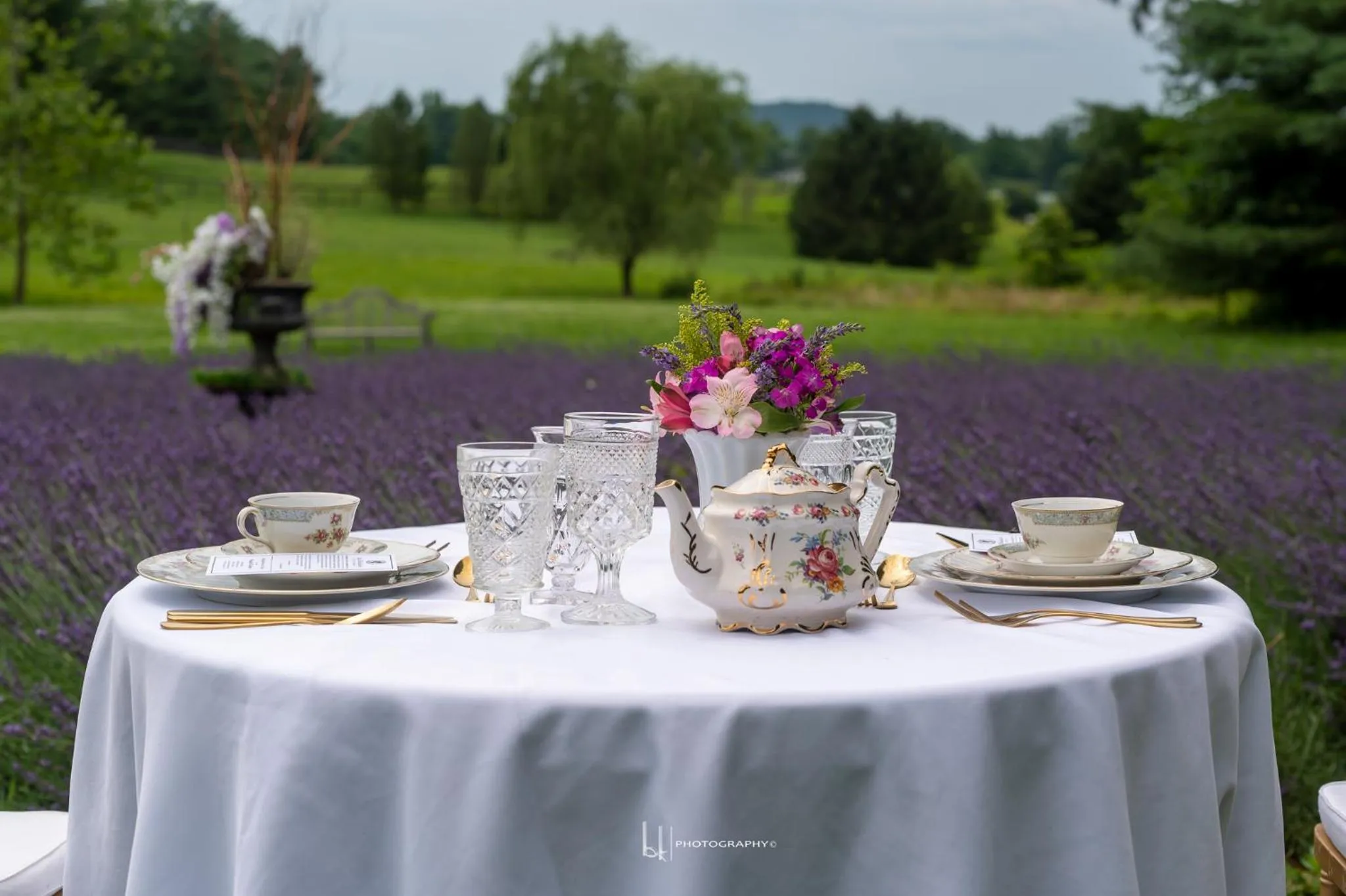 Garden in LeFay Cottage at Little Washington