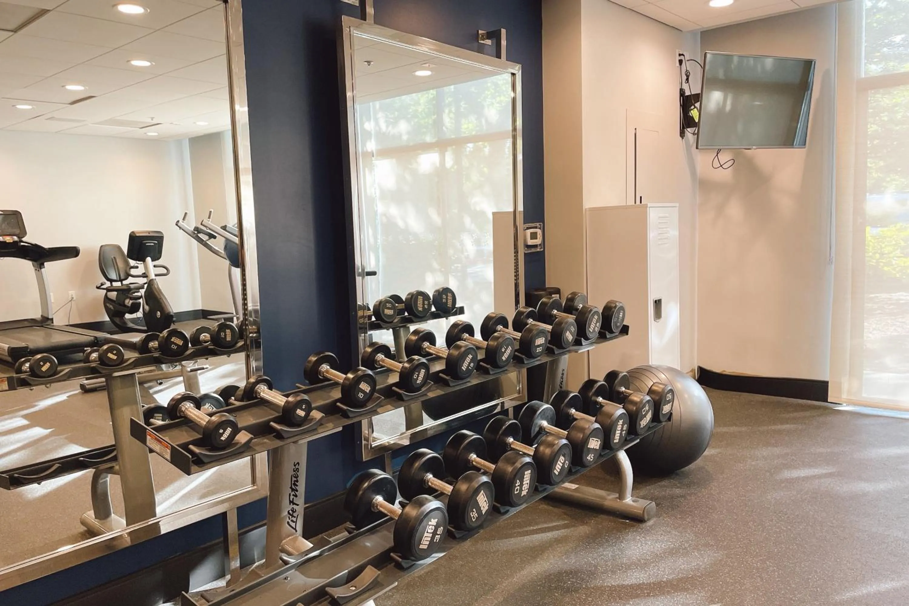 Fitness centre/facilities in Four Points by Sheraton San Rafael Marin County
