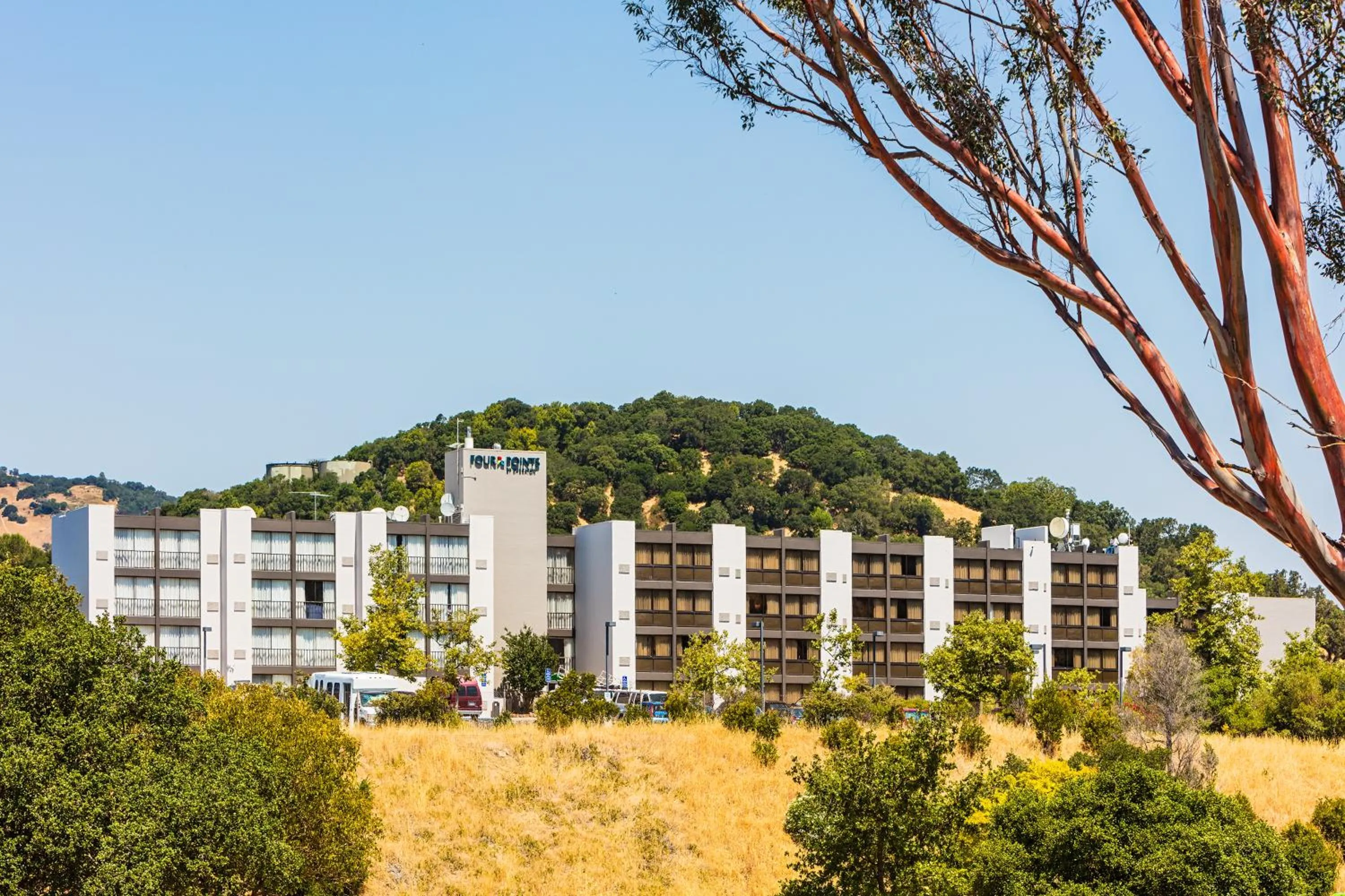 Property building in Four Points by Sheraton San Rafael Marin County