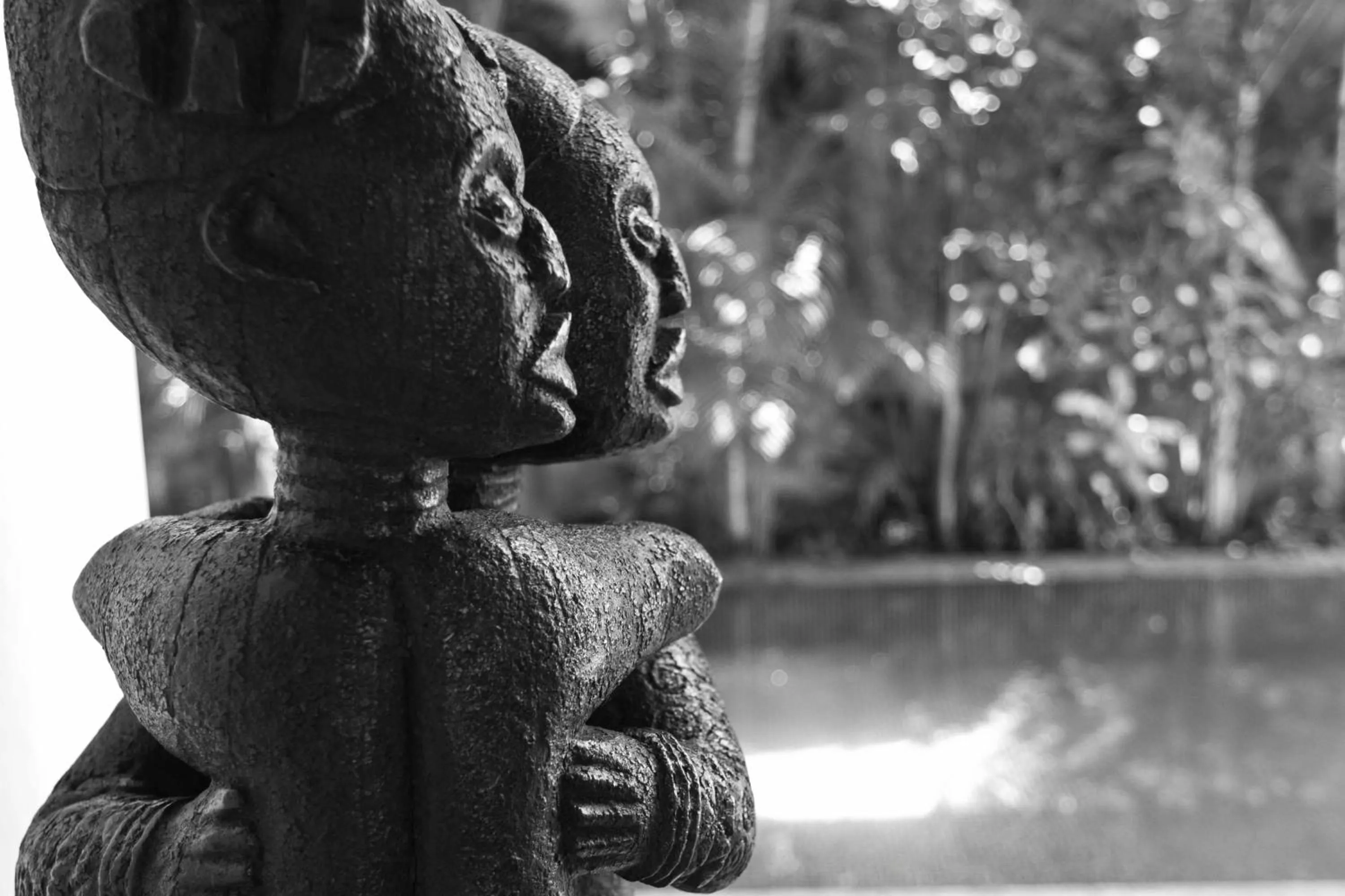 Area and facilities in Hotel Quadrifolio